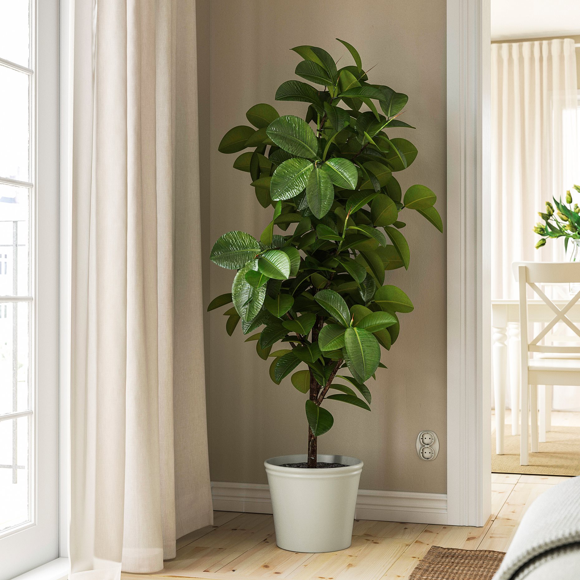 KÖRSBÄRSBJÖRK, κασπό, 24 cm, 605.917.21