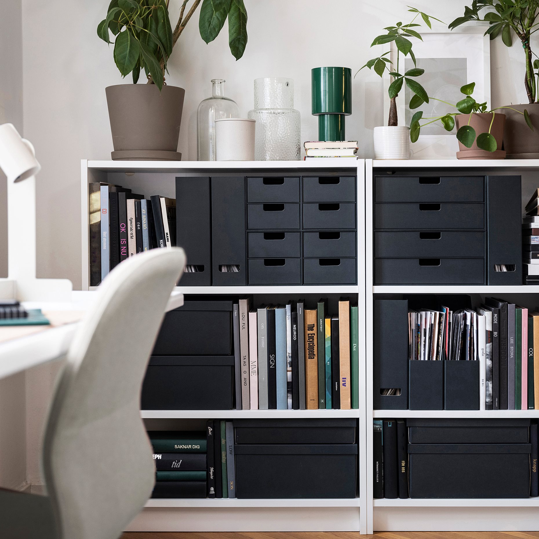 FJÄDERHARV, magazine file, 2 pack, 605.968.89