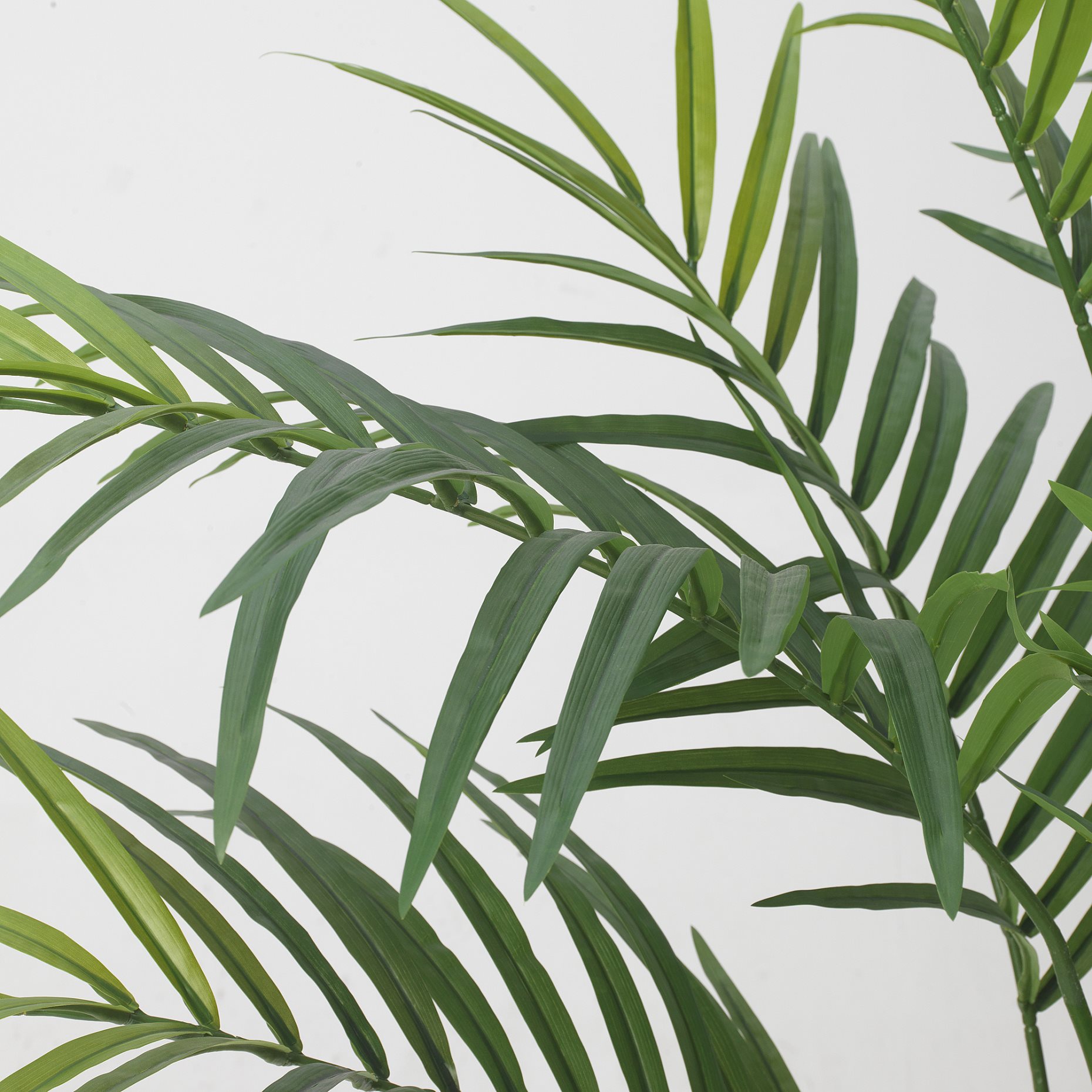 FEJKA, artificial potted plant in/outdoor/Kentia palm, 21 cm, 606.106.06