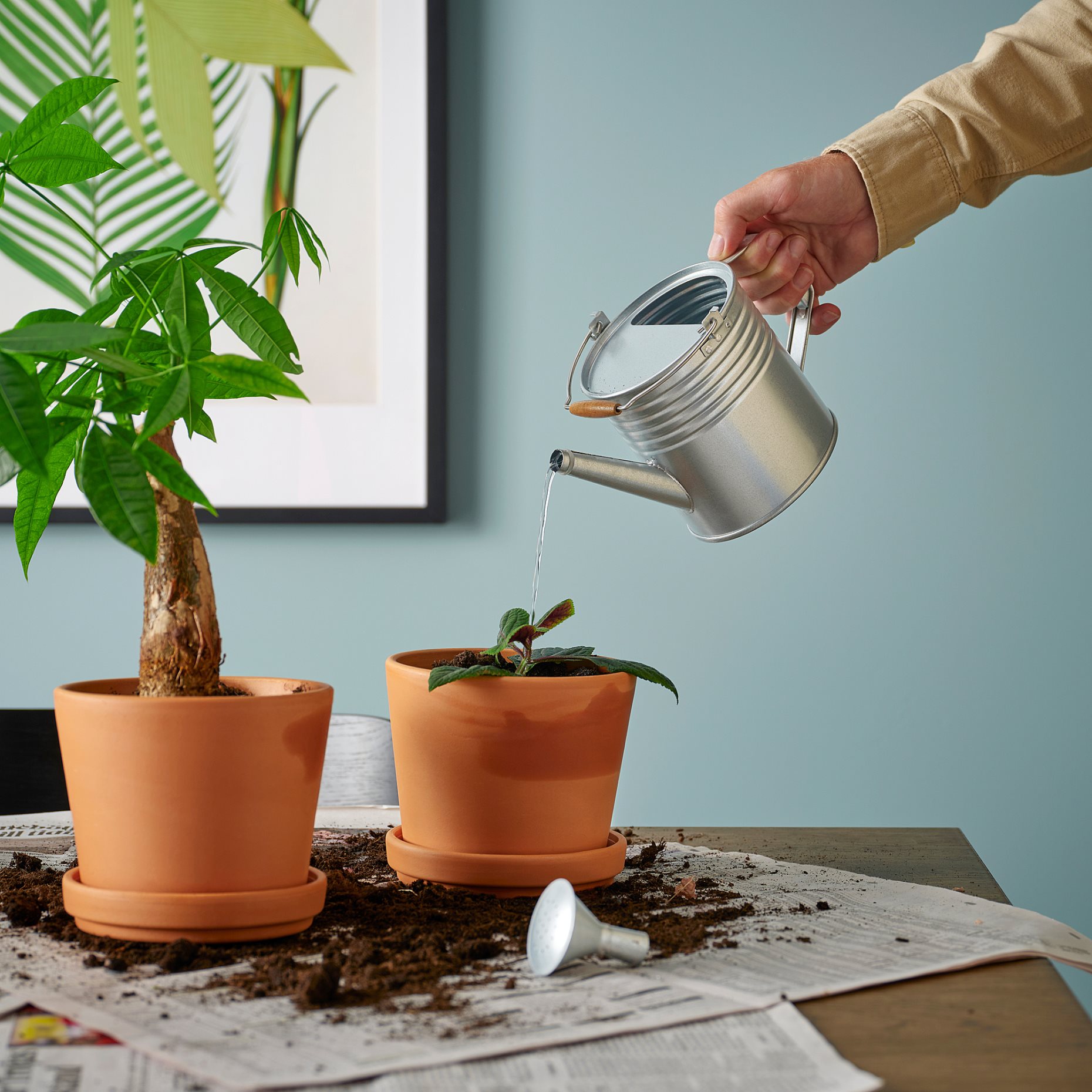 KORKGRAN, watering can in/outdoor,  1 l, 606.119.84