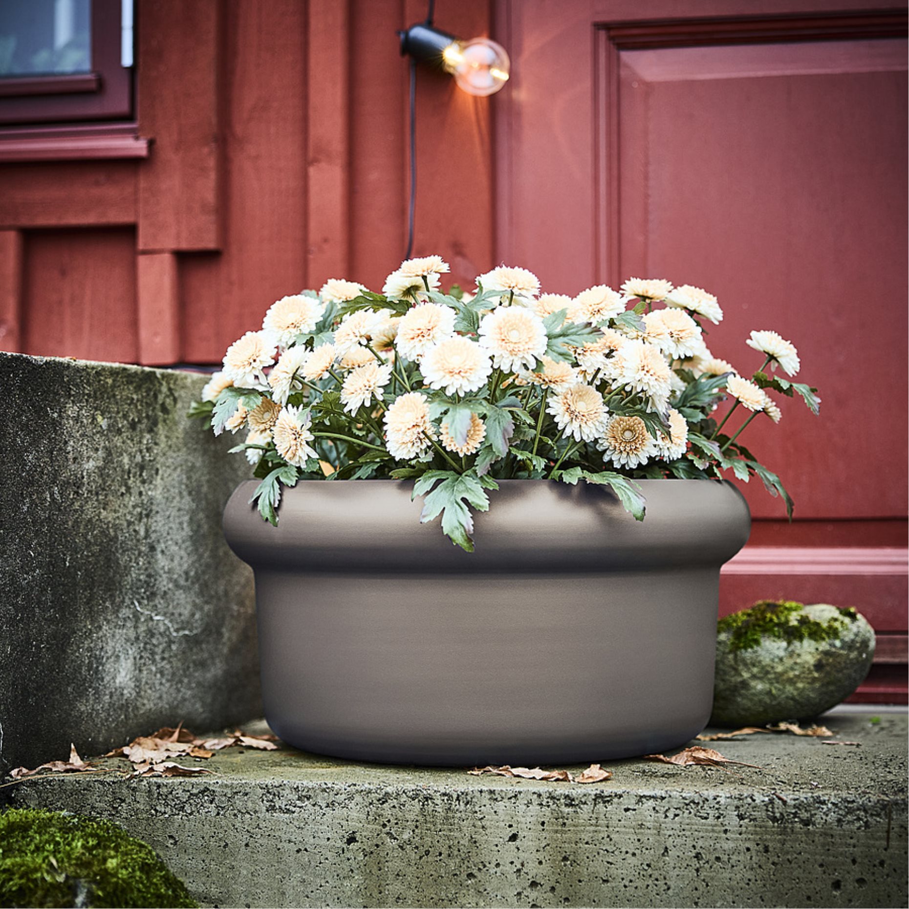 MÅBÄRSBUSKE, plant pot outdoor, 44 cm, 606.304.16