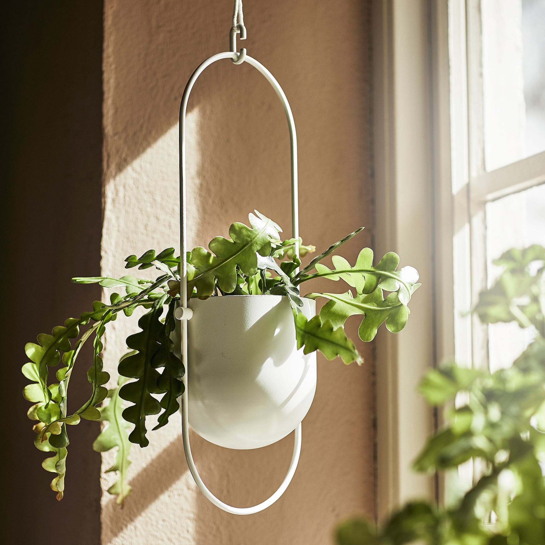 CHILISTRAN, hanging planter in/outdoor, 12 cm, 704.922.64