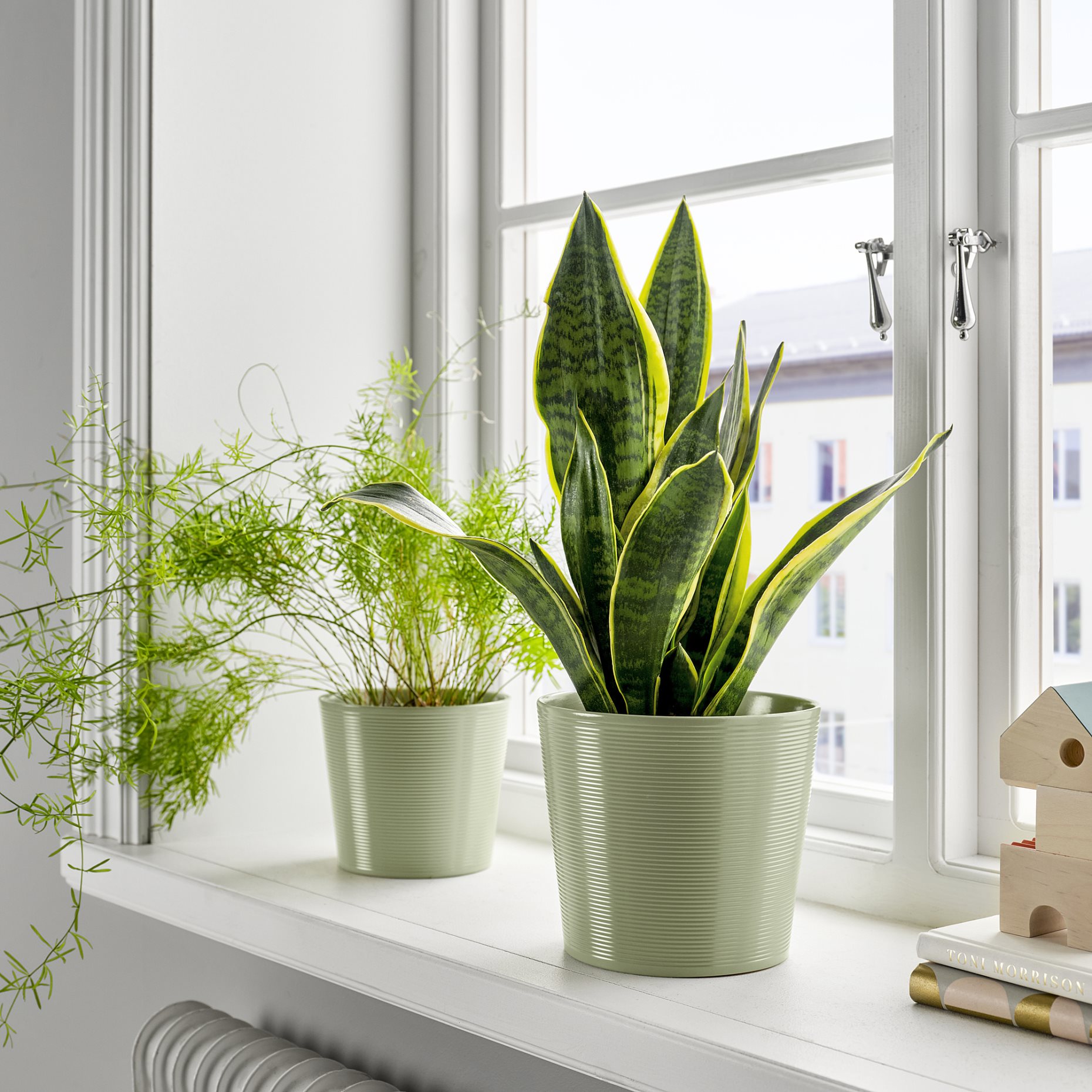 BROKSPIREA, plant pot, 15 cm, 705.865.97