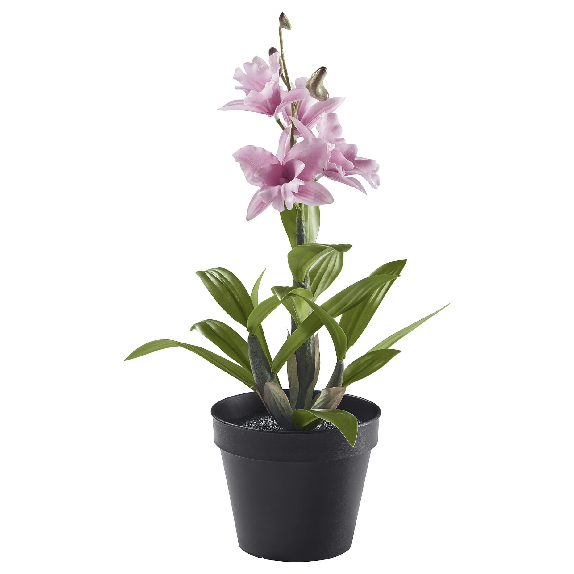 FEJKA, artificial potted plant in/outdoor/Noble Dendrobium, 12 cm, 705.932.20