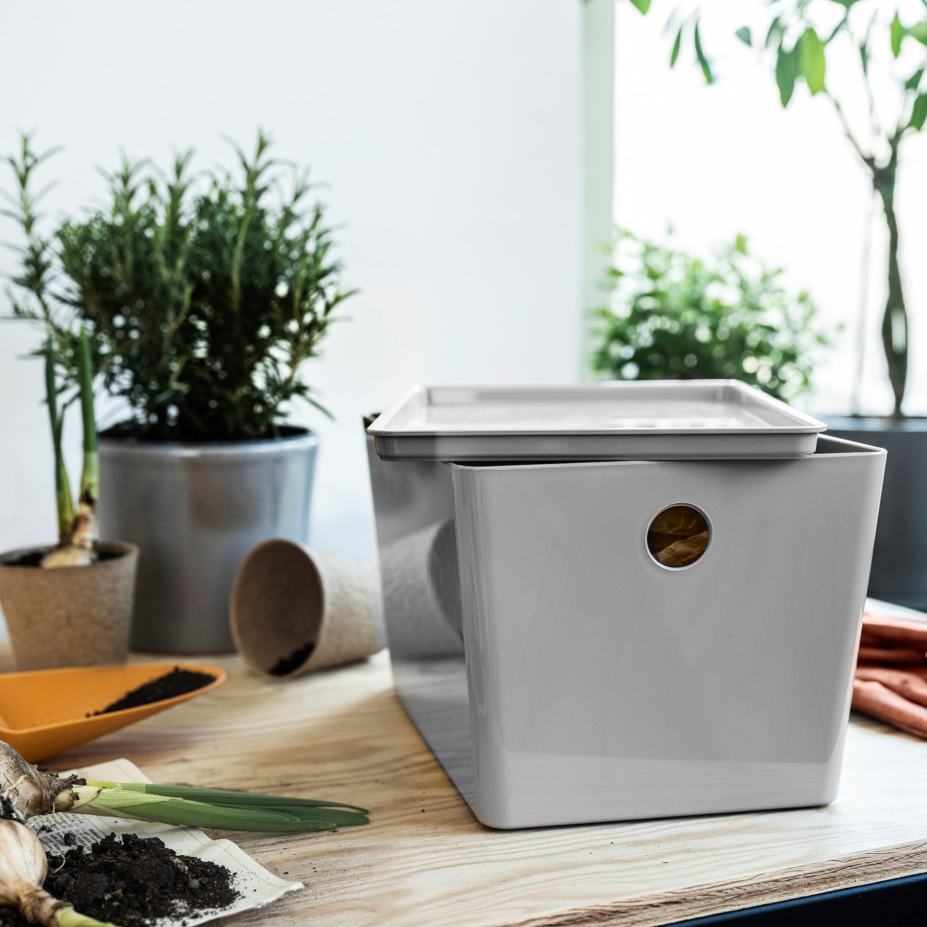 KUGGIS, lid, 26x35 cm, 705.991.56