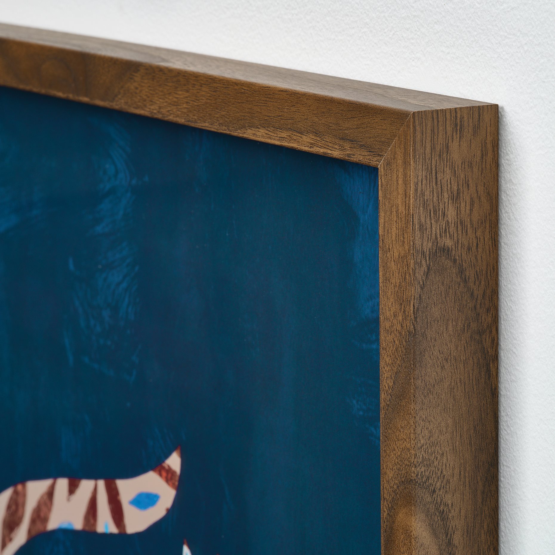 RODALM, frame with poster/leaf cat, 50x70 cm, 706.240.14
