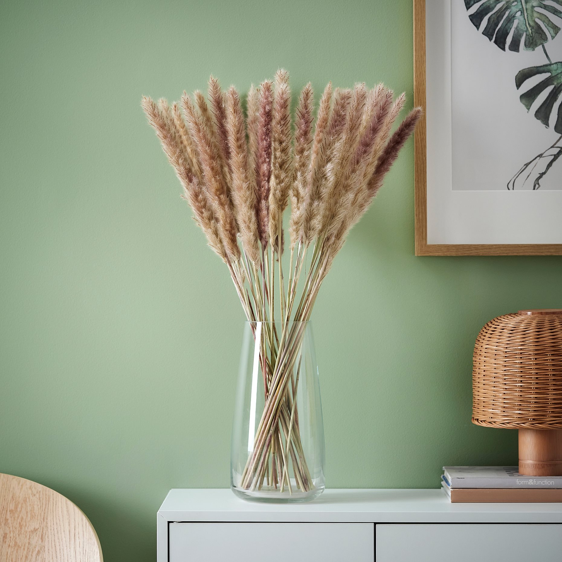 TORKA, dried plants/bunch/reed, 70 cm, 706.381.29
