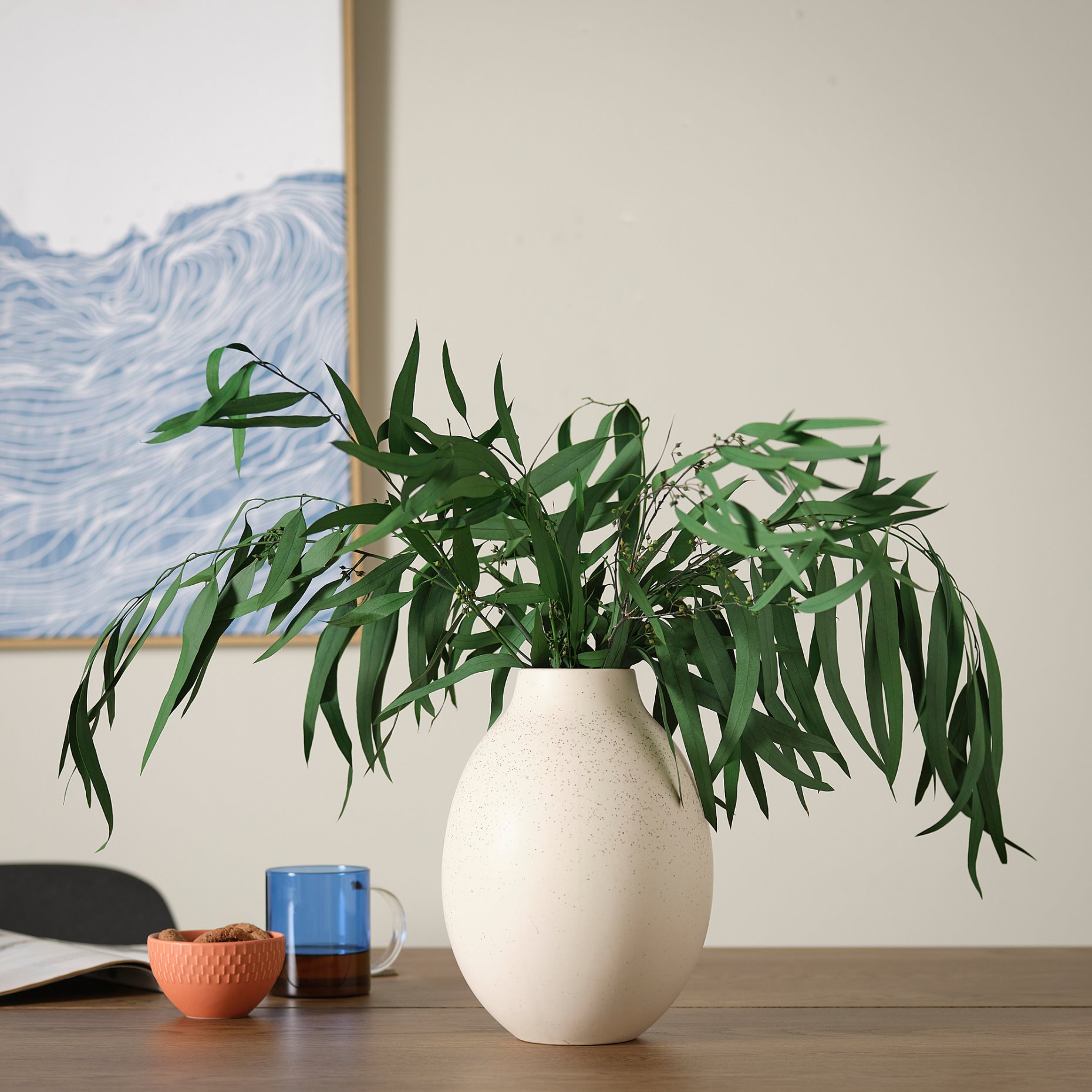 TORKA, dried plants/bunch, 70 cm, 706.381.34