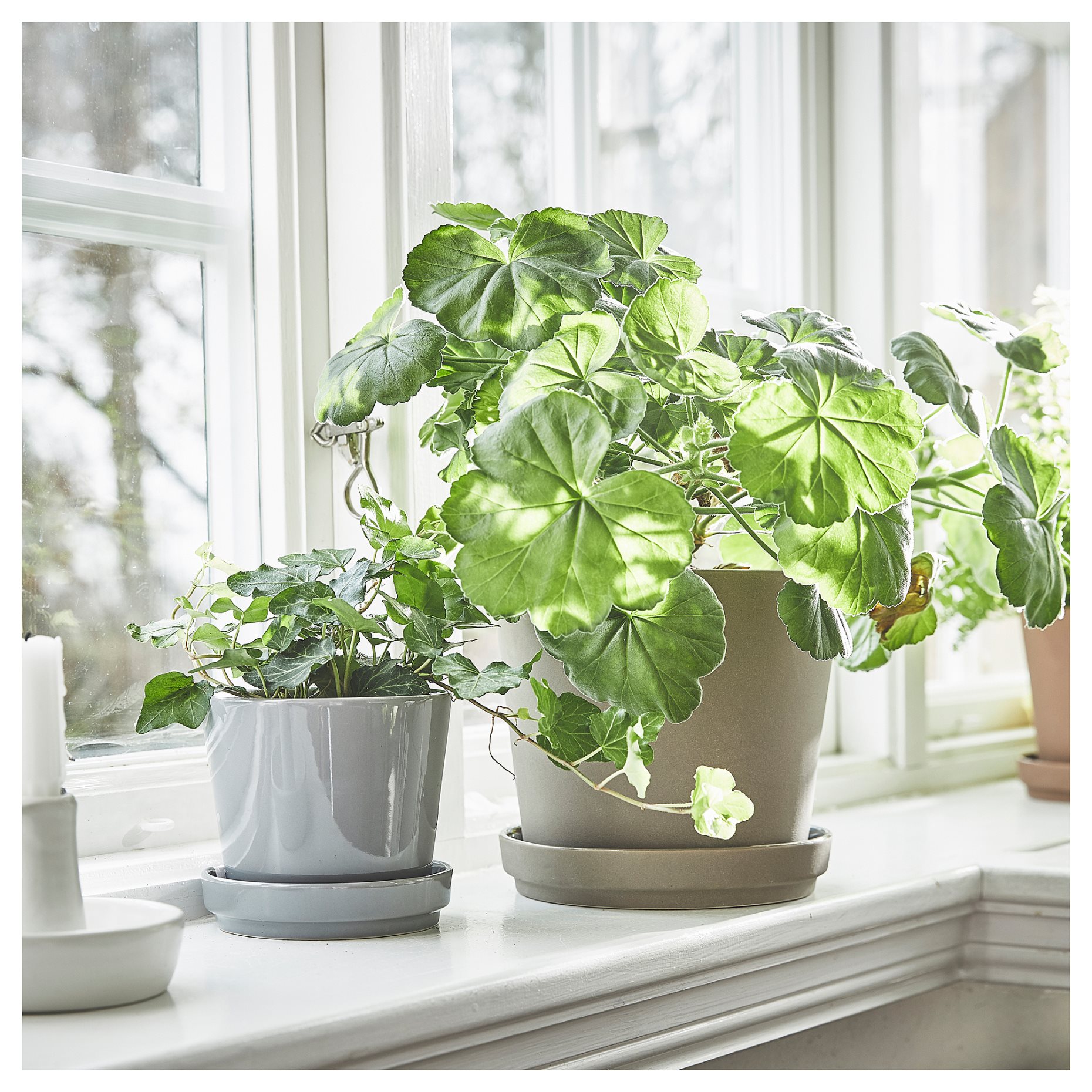 KLARBÄR, plant pot with saucer/in/outdoor, 15 cm, 805.084.29