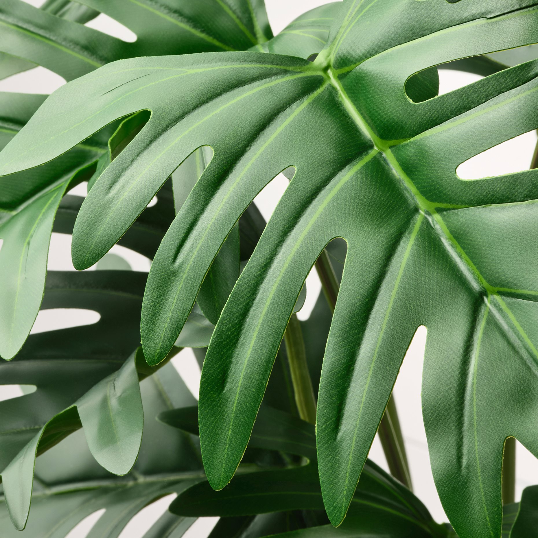 FEJKA, τεχνητό φυτό σε γλάστρα εσωτερικού/εξωτερικού χώρου/Φιλόδεντρο, 15 cm, 805.229.96