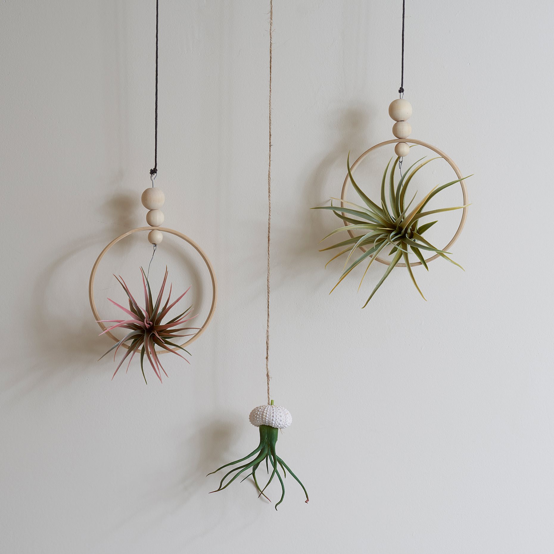 FEJKA, artificial plant/Air plant, set of 3, 805.599.61