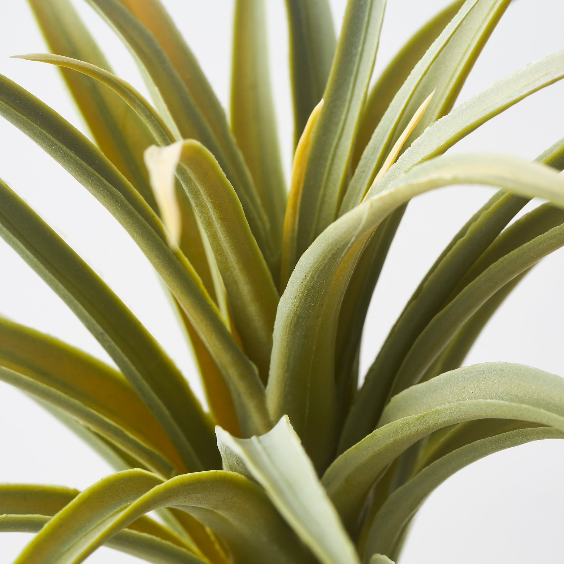 FEJKA, artificial plant/Air plant, set of 3, 805.599.61