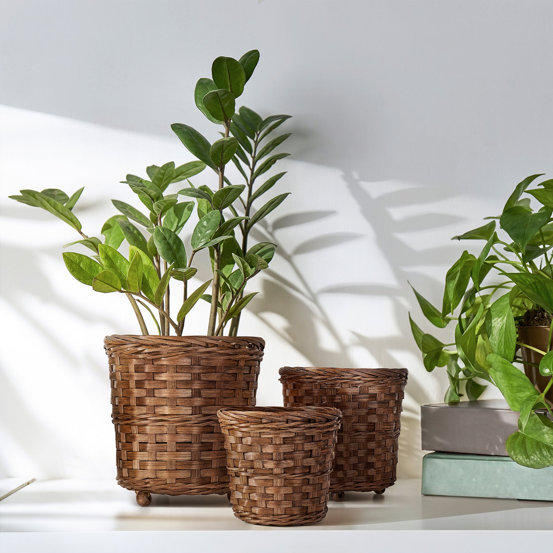 KLIBBAL, plant pot, 12 cm, 805.712.13