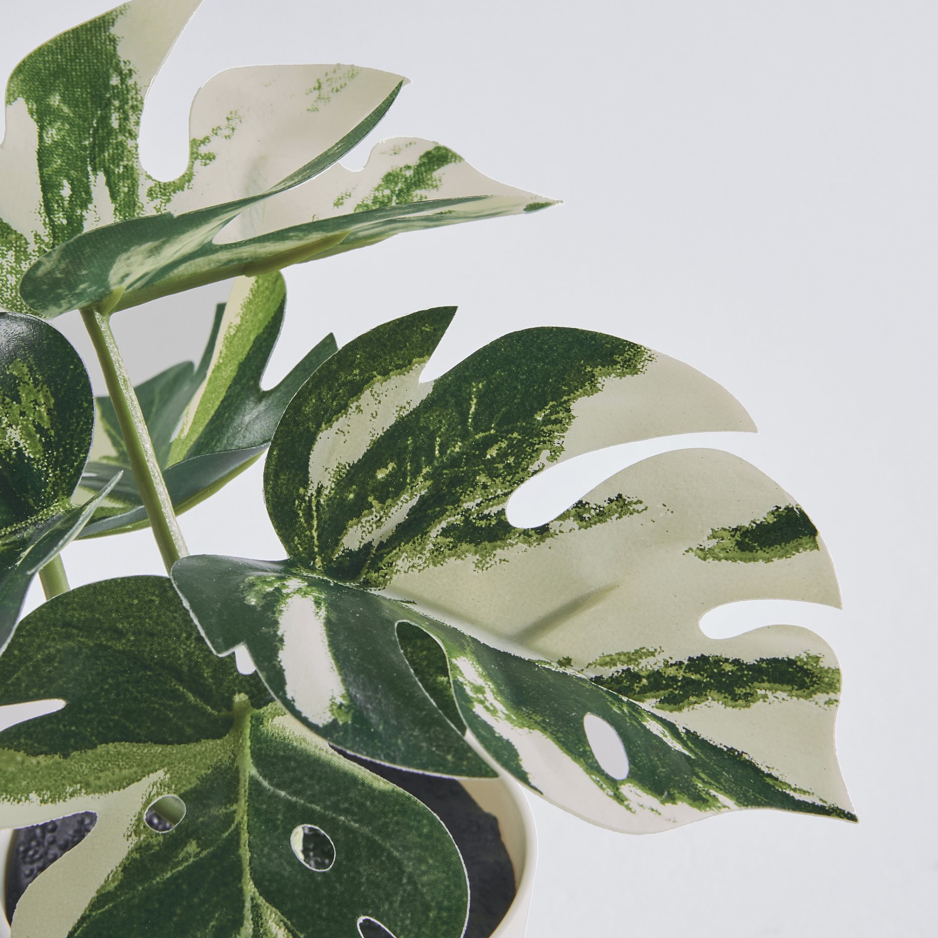 FEJKA, artificial potted plant with pot in/outdoor Monstera, 6 cm, 805.932.05