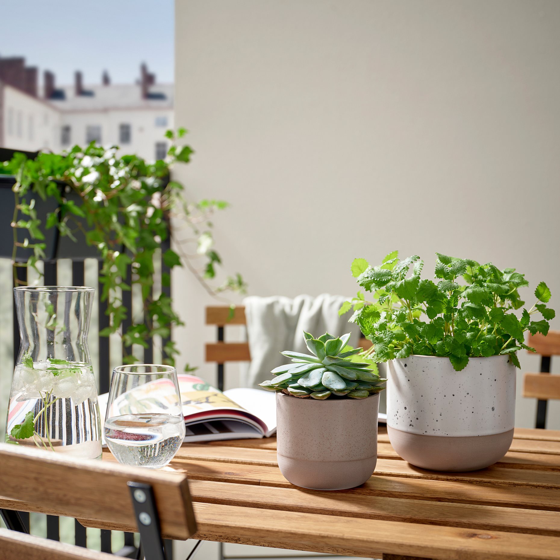 BUSKKAPRIFOL, plant pot in/outdoor, 9 cm, 805.958.98