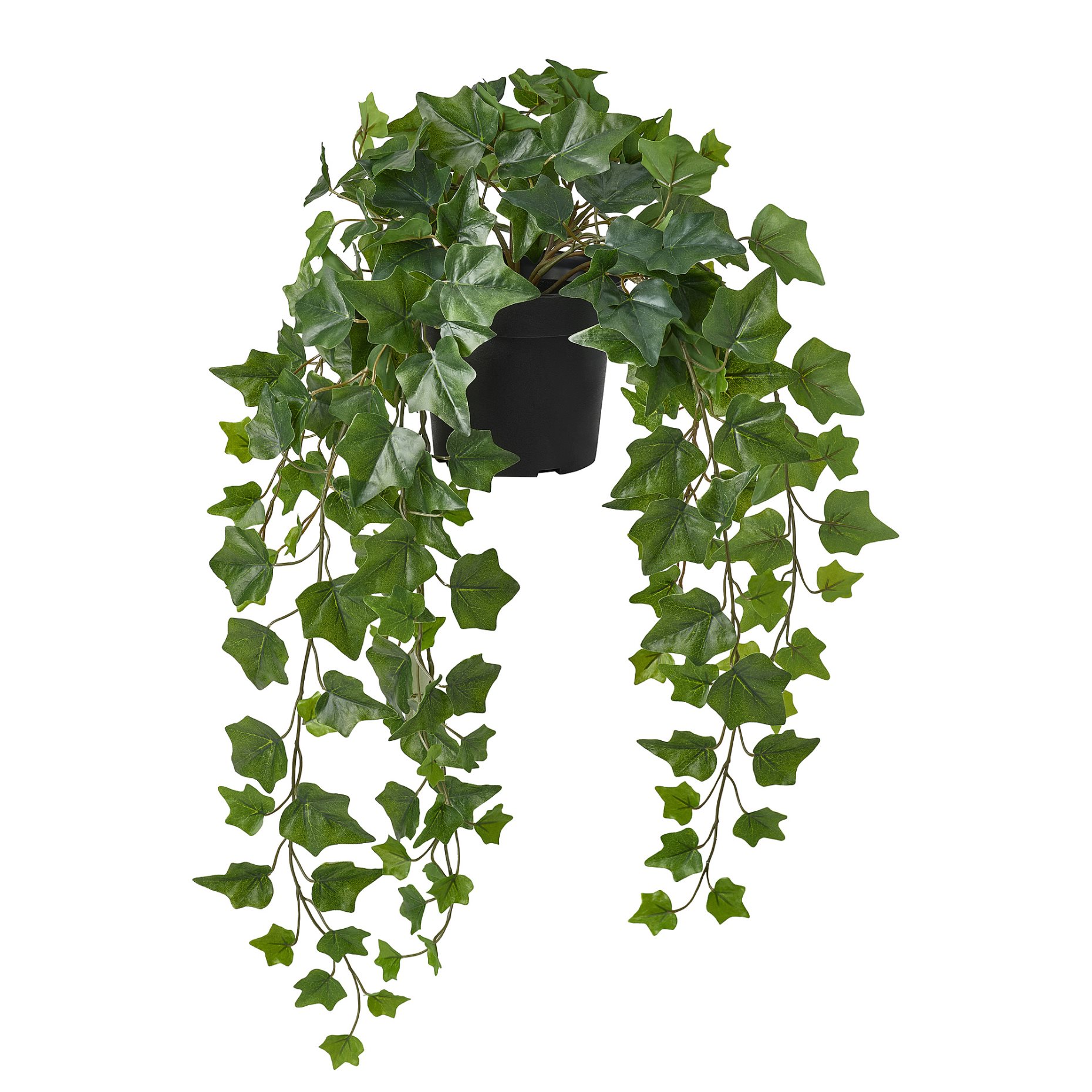 FEJKA, artificial potted plant in/outdoor hanging/Ivy, 15 cm, 806.008.52