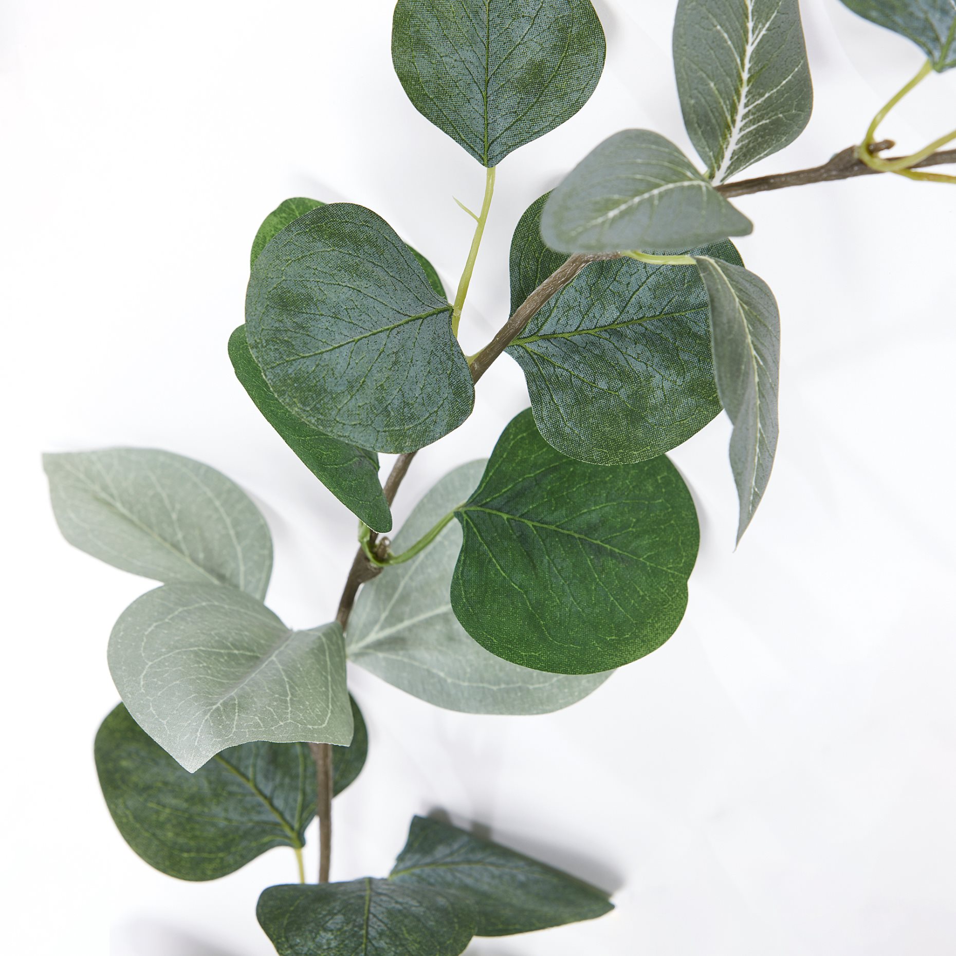 SMYCKA, γιρλάντα εσωτερικού/εξωτερικού χώρου/ευκάλυπτος, 3 m, 806.065.71