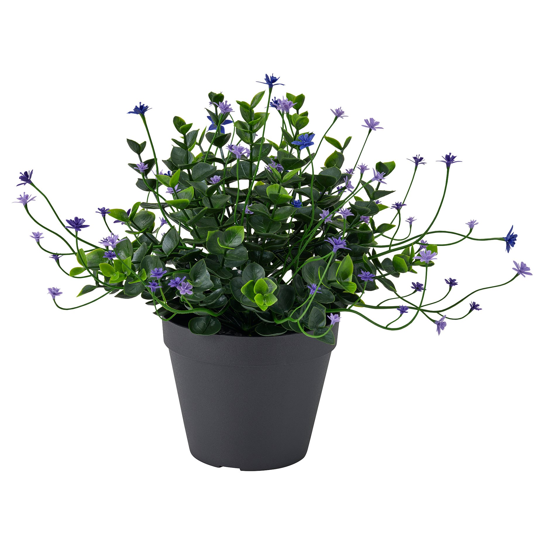 FEJKA, artificial potted plant in/outdoor, 12 cm, 806.132.51