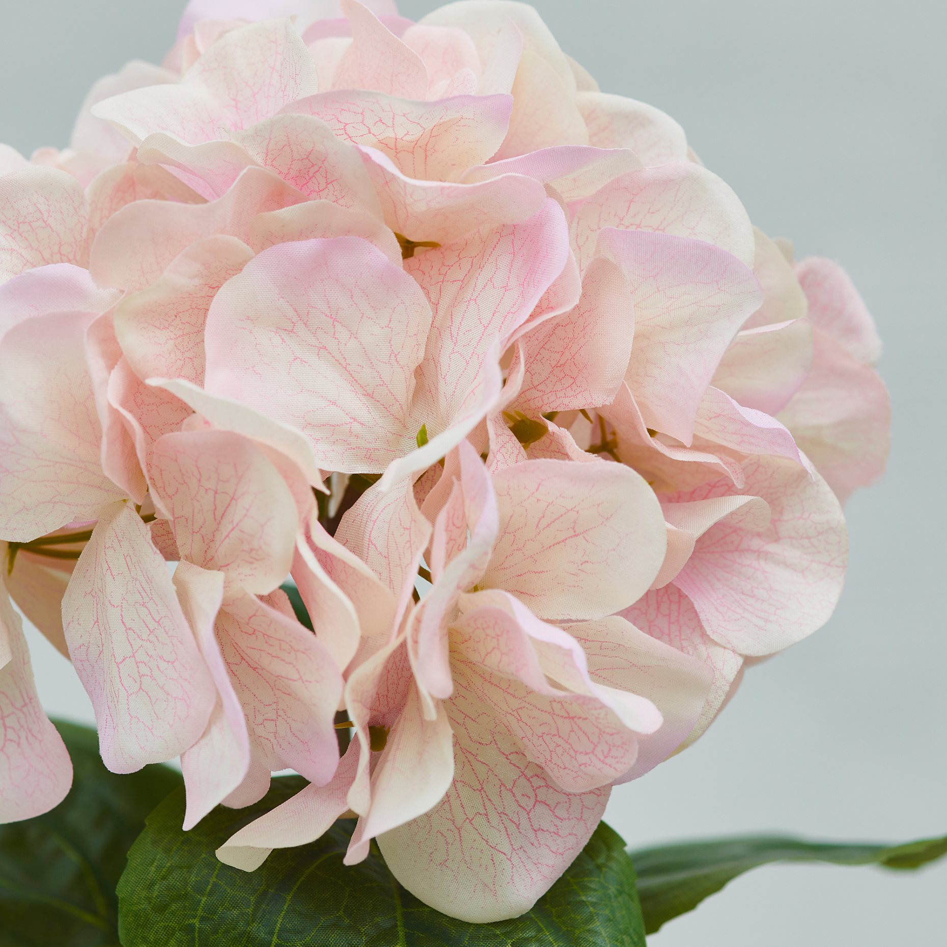 SMYCKA, artificial flower in/outdoor/hydrangea, 55 cm, 806.176.83