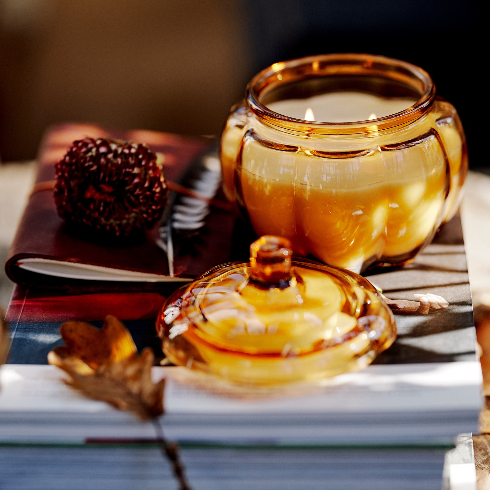 HOSTAGILLE, scented candle in glass/spiced pumpkin/2 wicks, 40 hr, 806.255.17