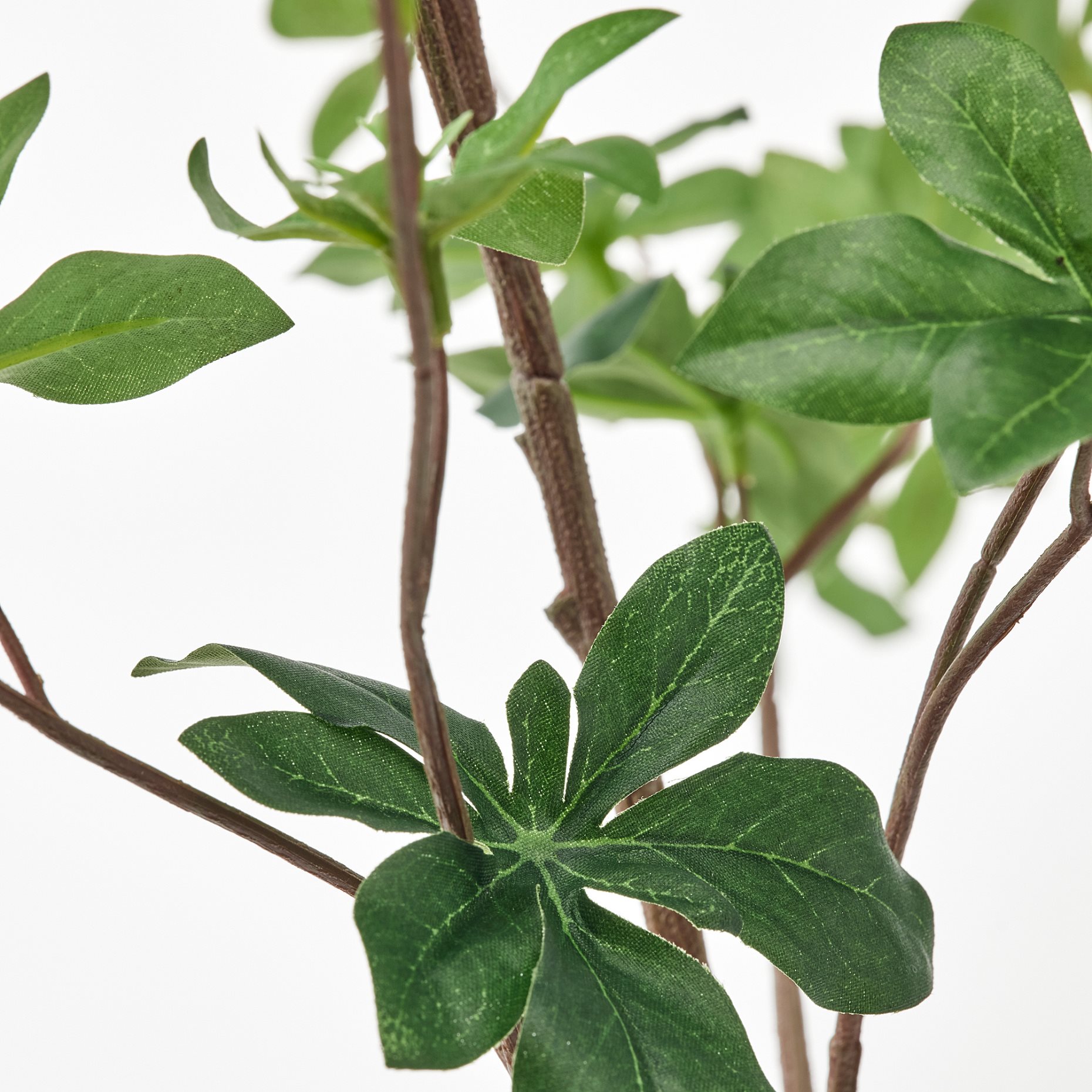 SMYCKA, τεχνητό κλαδί/εσωτερικού/εξωτερικού χώρου/Εγκύανθος, 95 cm, 905.356.20