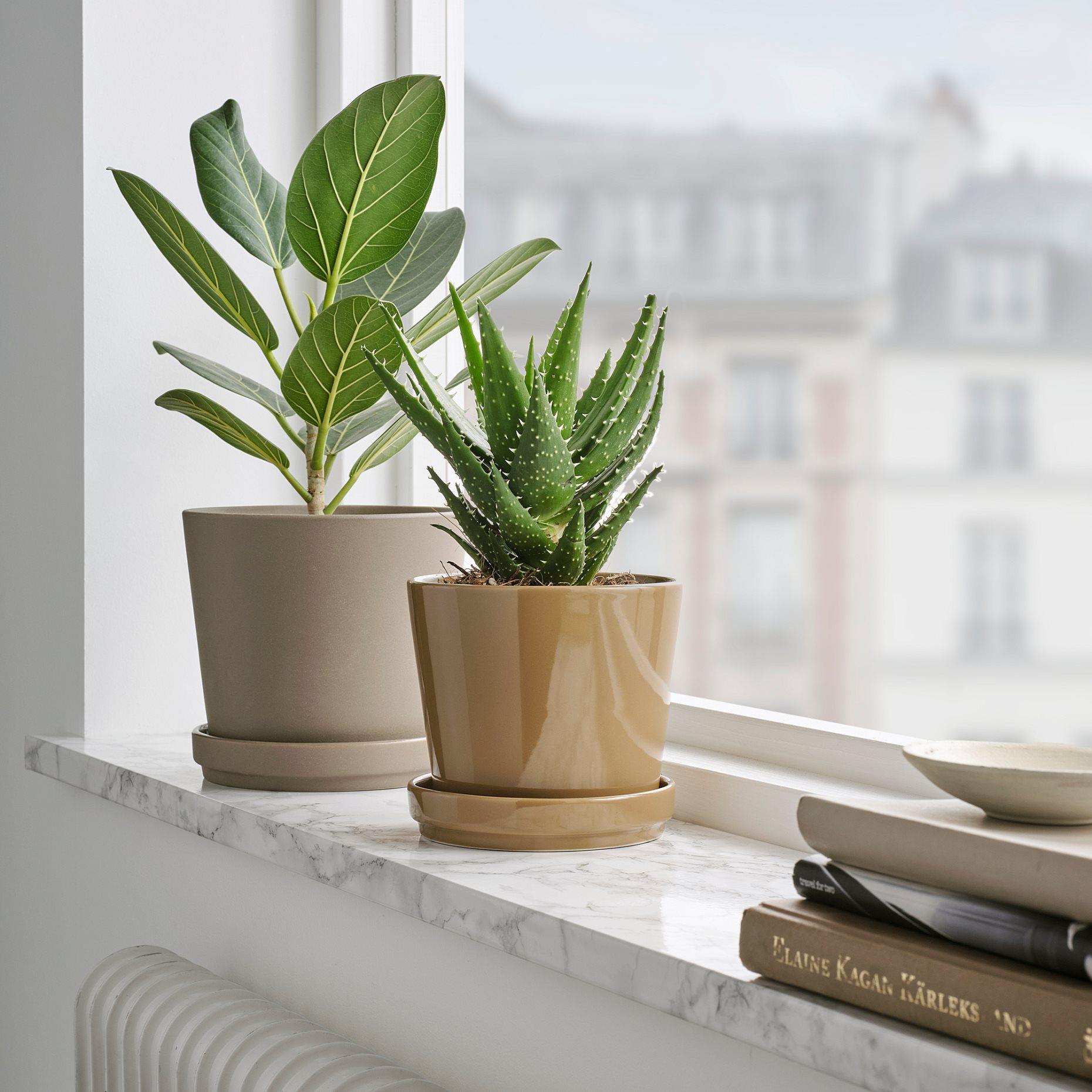 CITRUSFRUKT, plant pot with saucer in/outdoor, 12 cm, 905.515.73