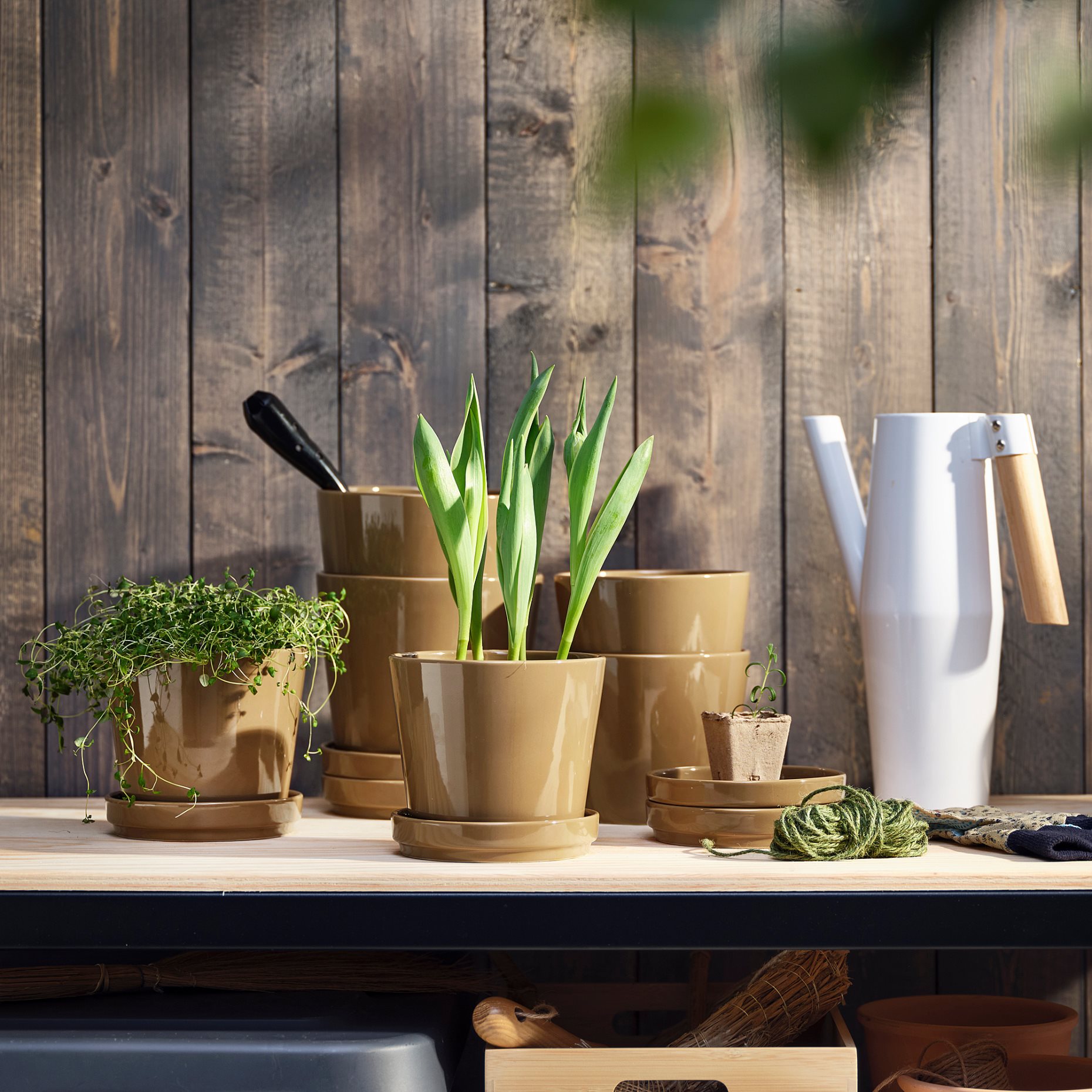 CITRUSFRUKT, plant pot with saucer in/outdoor, 12 cm, 905.515.73