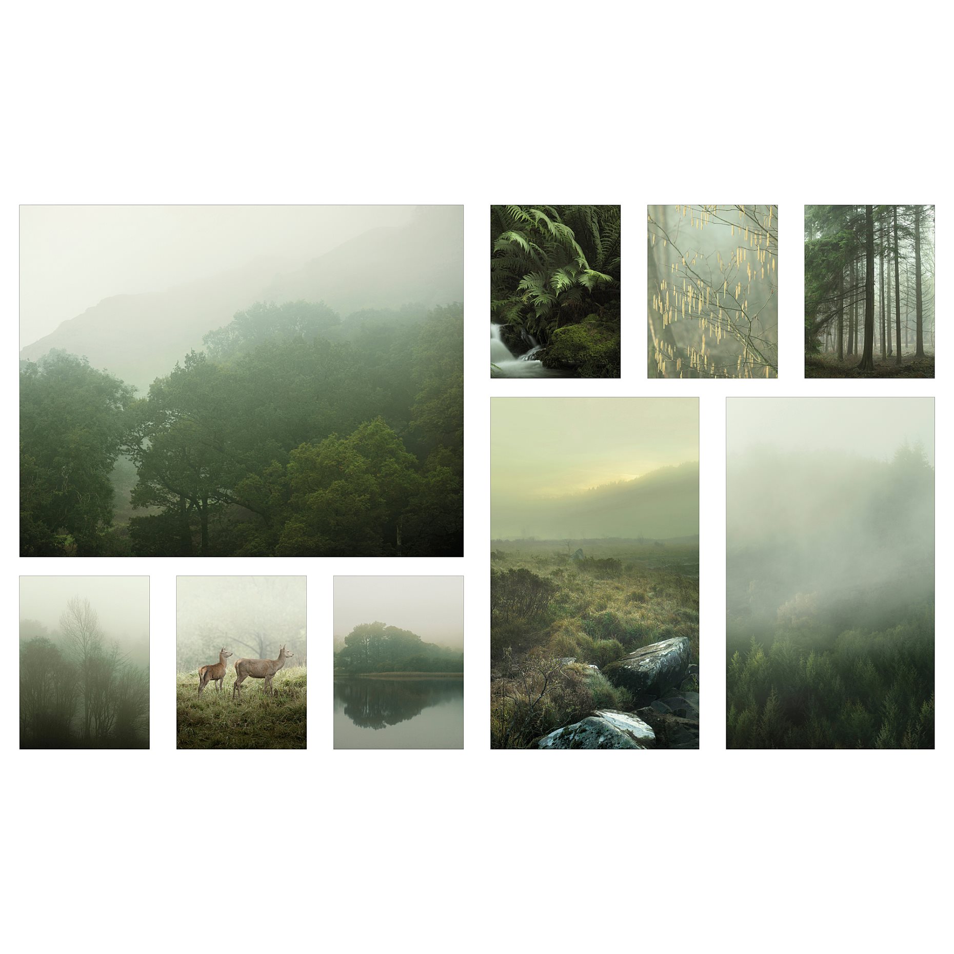PJÄTTERYD, picture/Mist in the forest, set of 9, 905.679.70