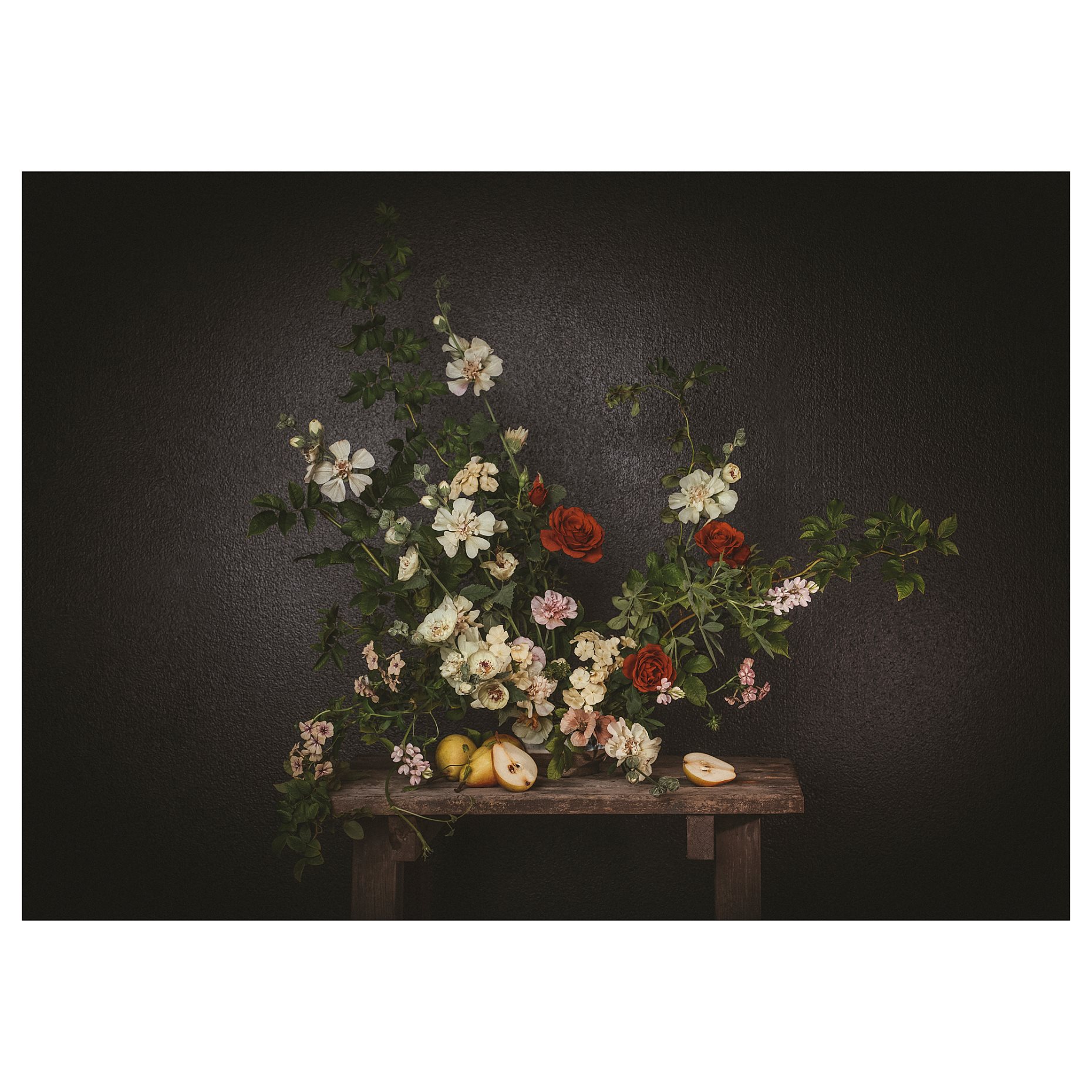 PJÄTTERYD, picture/flowers against a black wall, 70x50 cm, 905.789.02