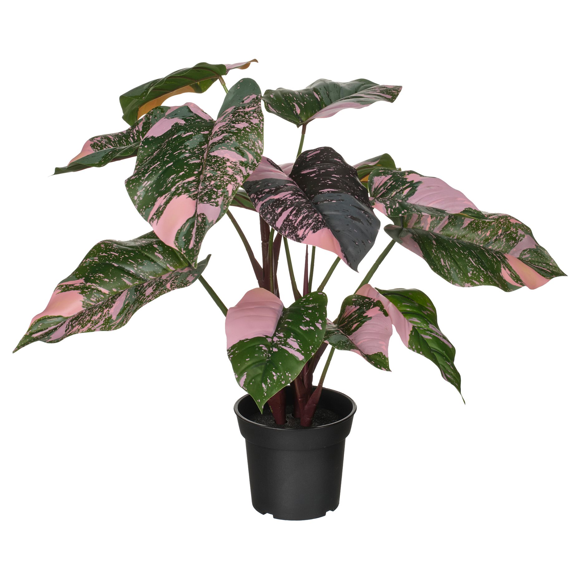 FEJKA, artificial potted plant in/outdoor/Philodendron, 15 cm, 906.008.61