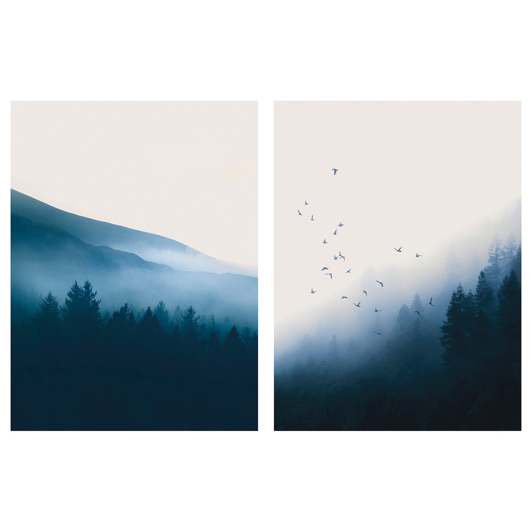 PJÄTTERYD, picture/dawn haze/2 pack, 30x40 cm, 906.238.67