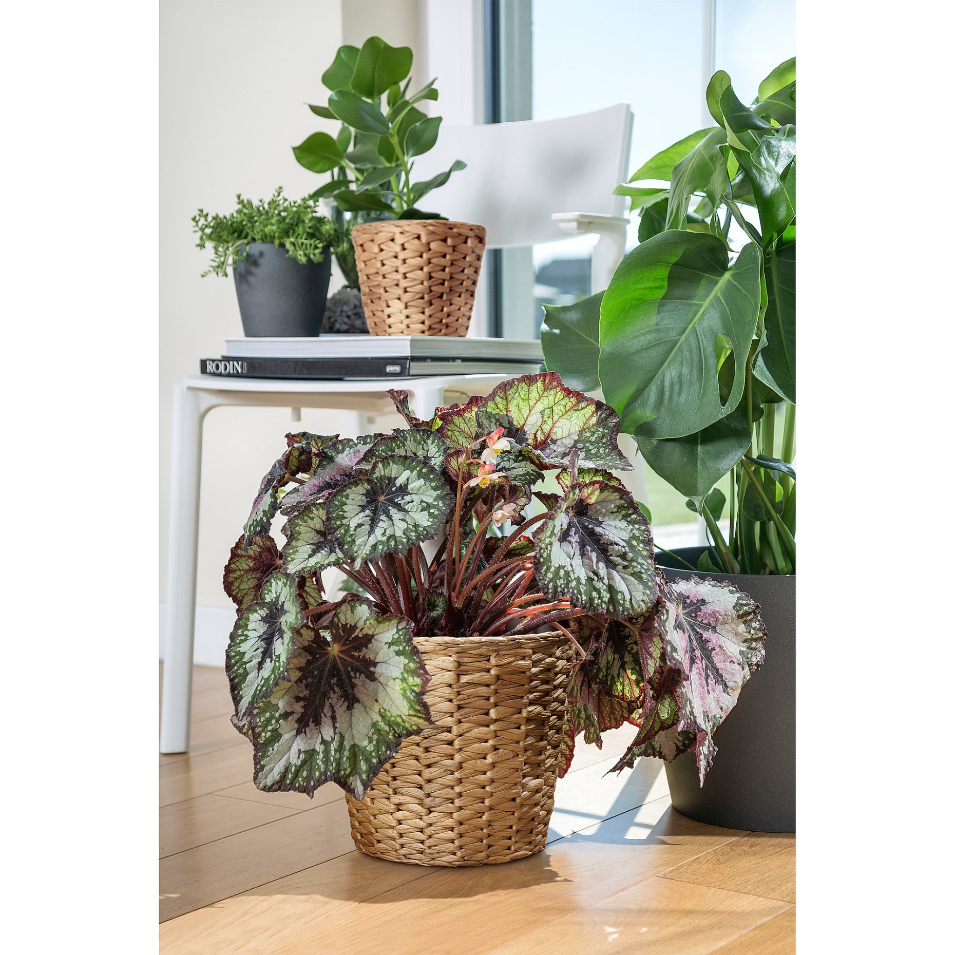 FRIDFULL, plant pot, 19 cm, 906.282.85