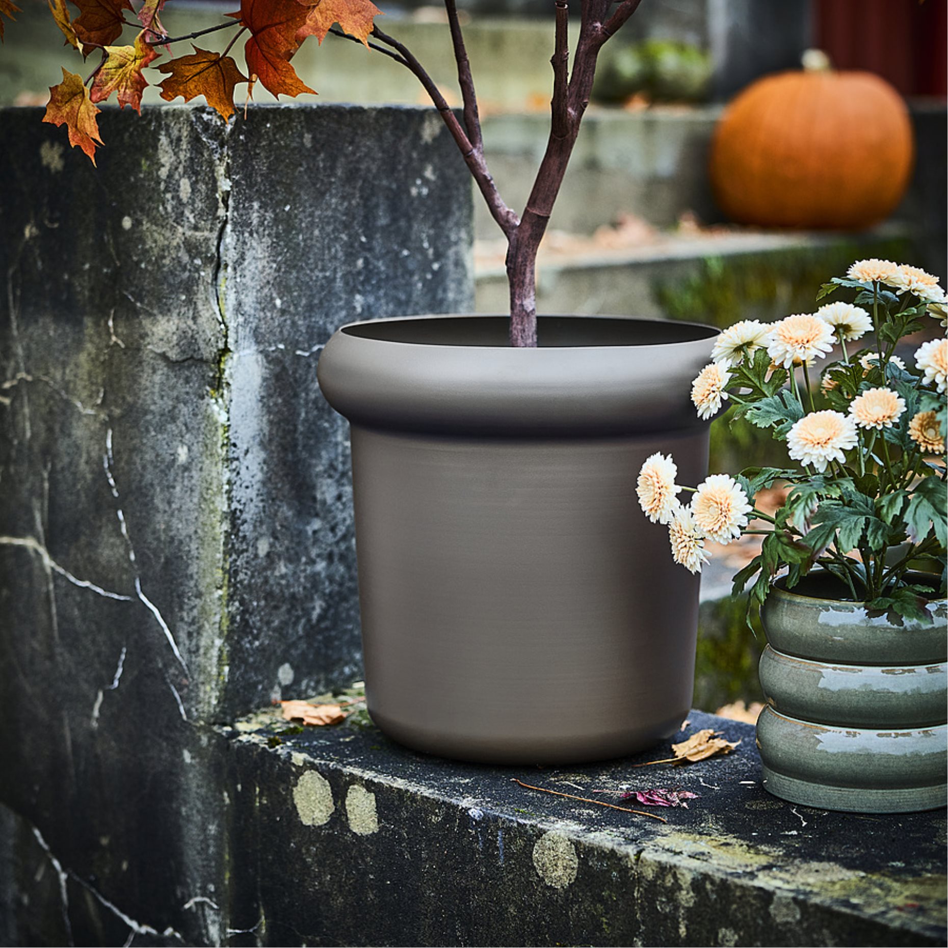 MÅBÄRSBUSKE, plant pot outdoor, 32 cm, 906.304.29