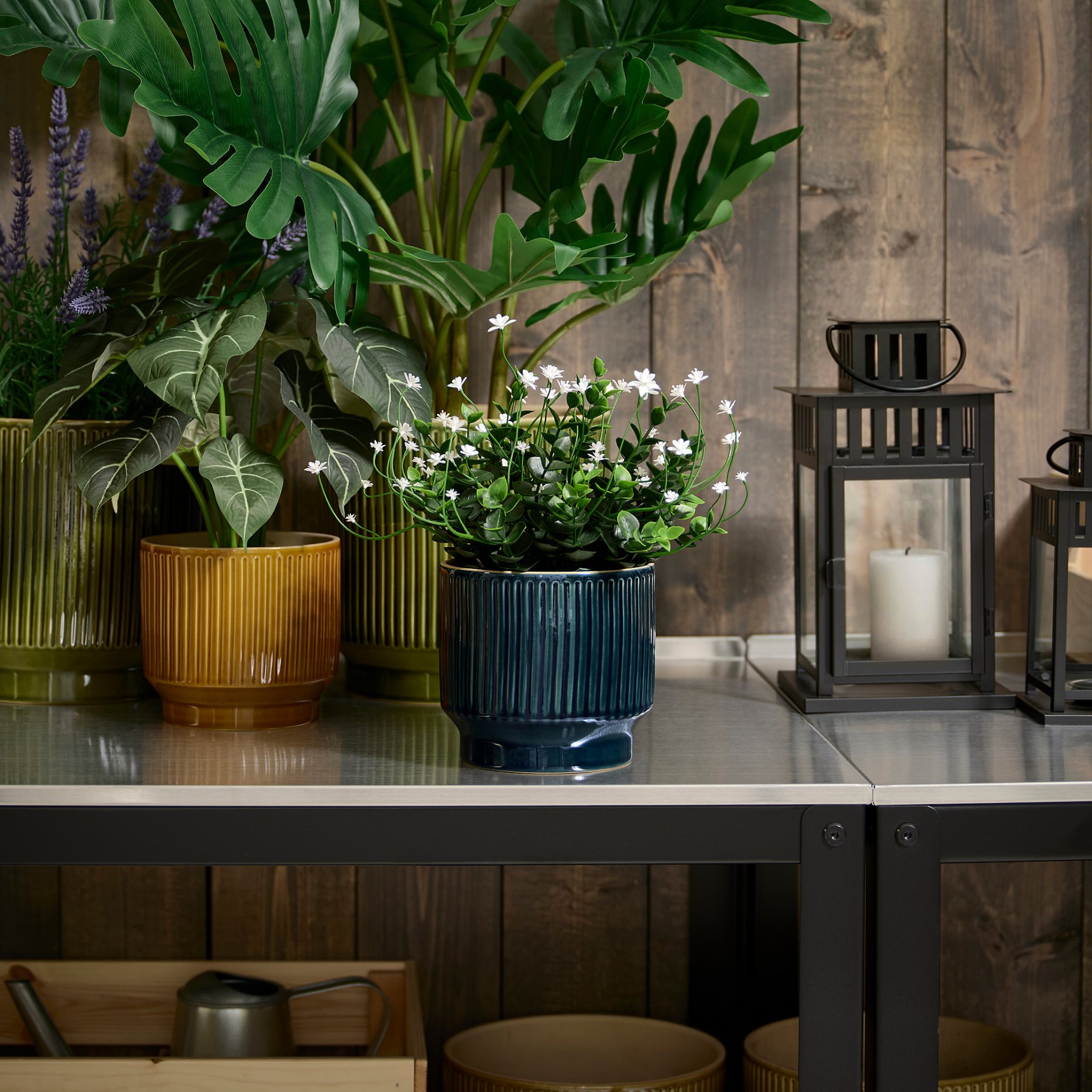 HONUNGSPALM, plant pot in/outdoor, 12 cm, 906.413.43