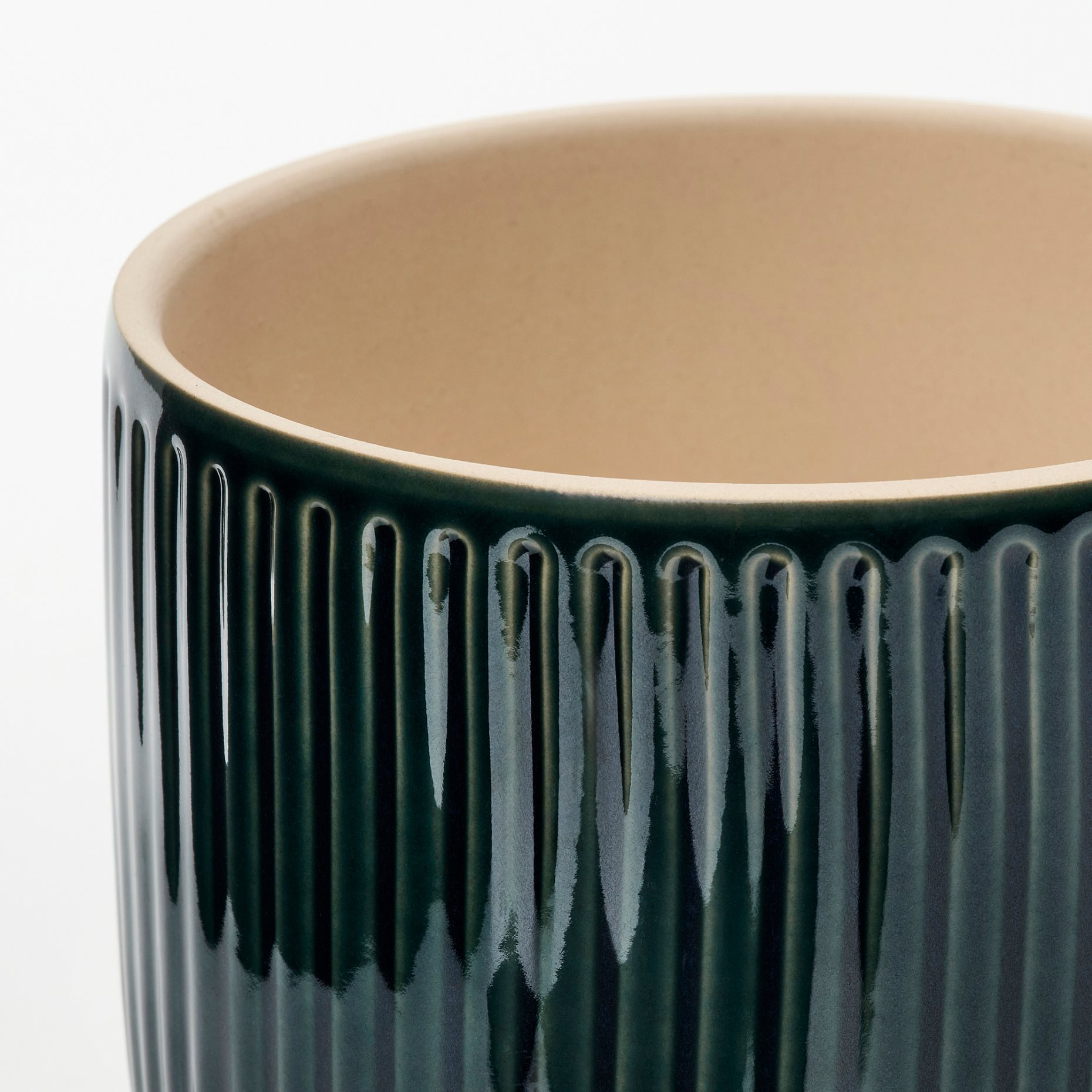 HONUNGSPALM, plant pot in/outdoor, 12 cm, 906.413.43