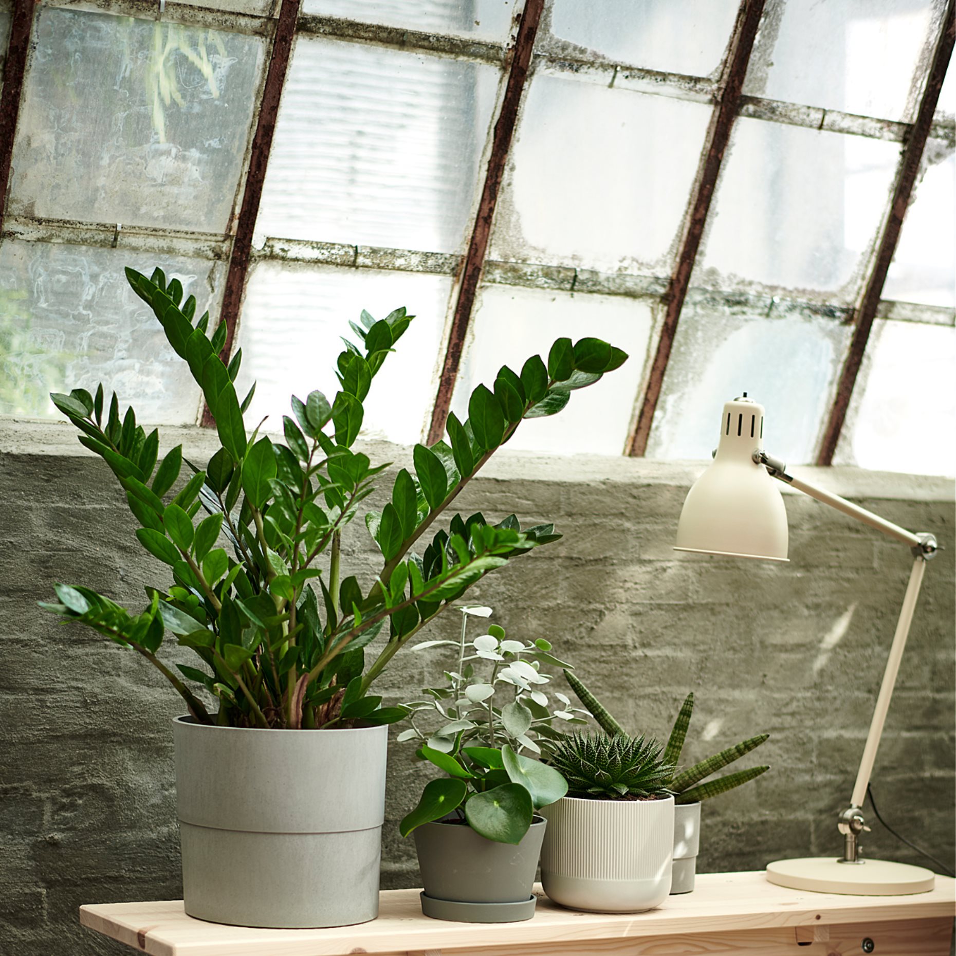 NYPON, κασπό εσωτερικού/εξωτερικού χώρου, 003.956.24