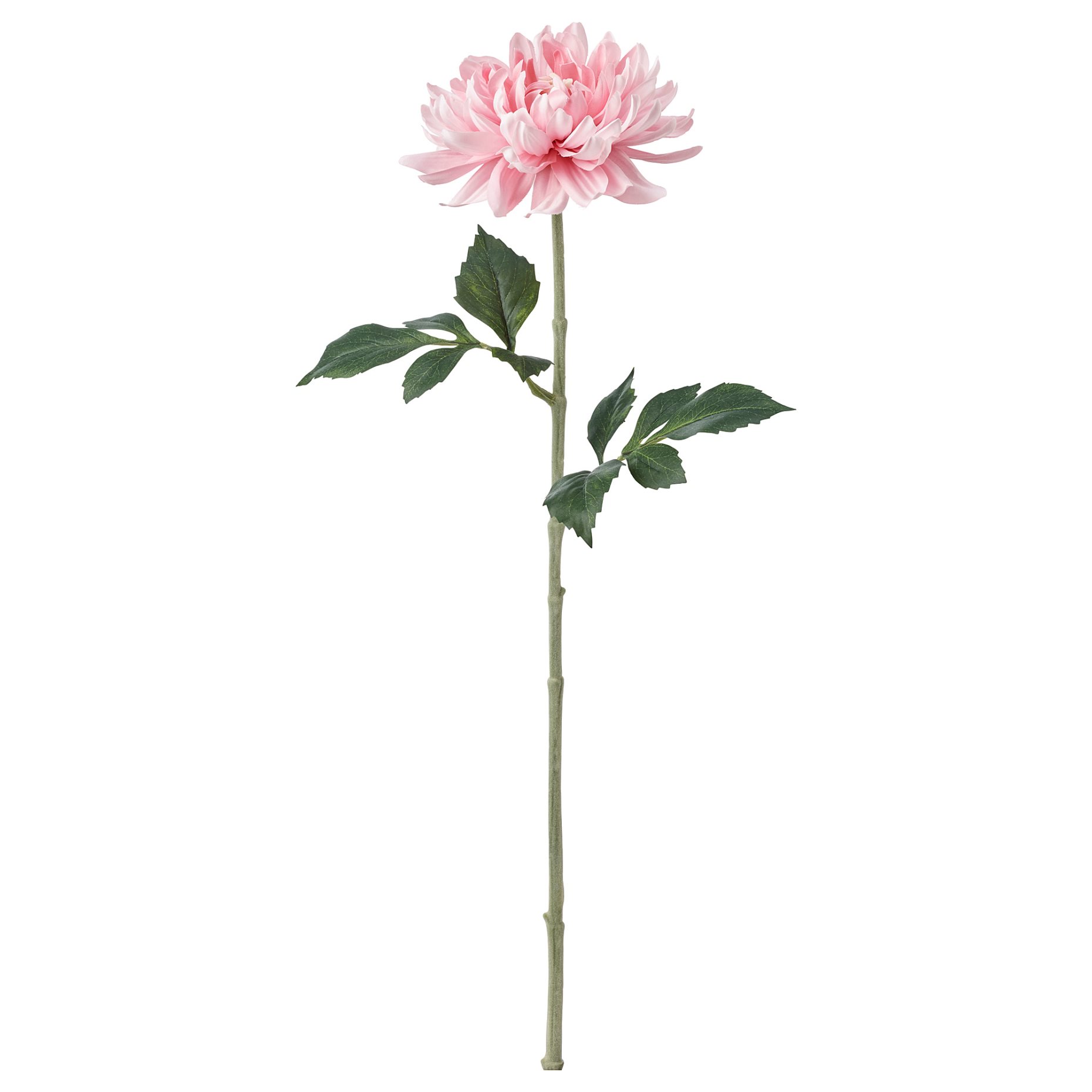 SMYCKA, artificial flower, Dahlia, 004.097.96