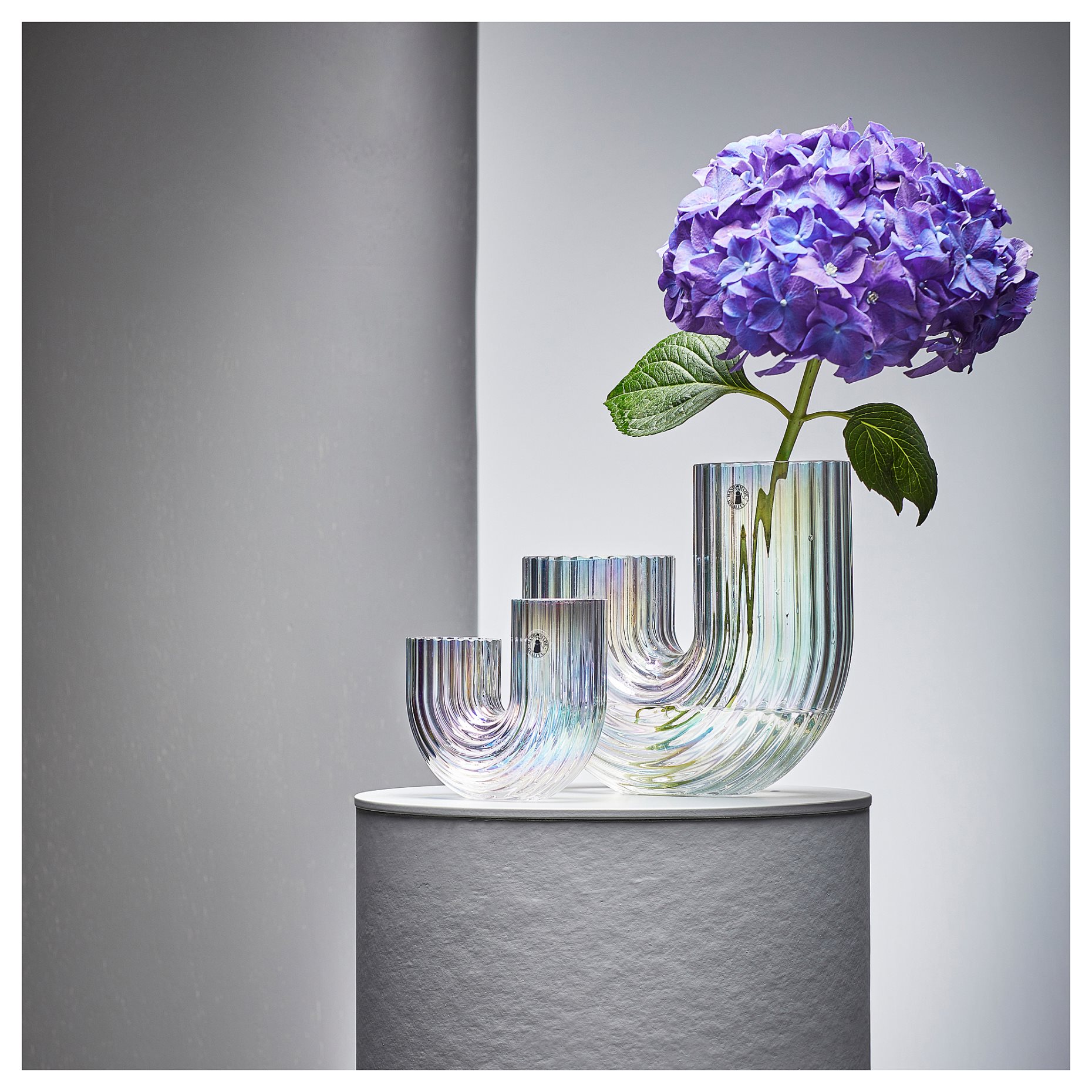 RÄFFELBJÖRK, βάζο, 20 cm, 005.376.52
