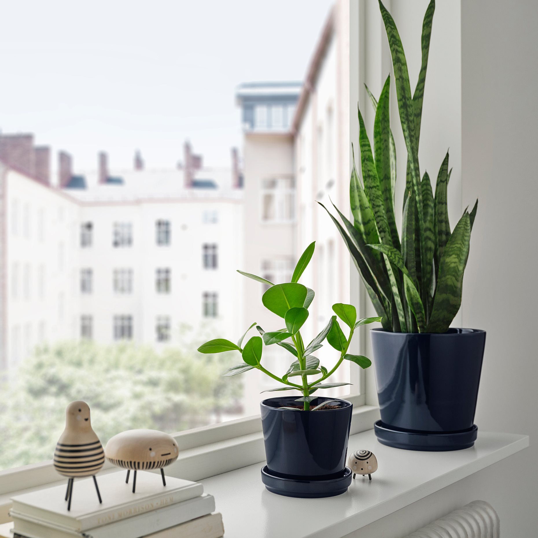 KLOTLÖNN, plant pot with saucer/in/outdoor, 12 cm, 005.840.64