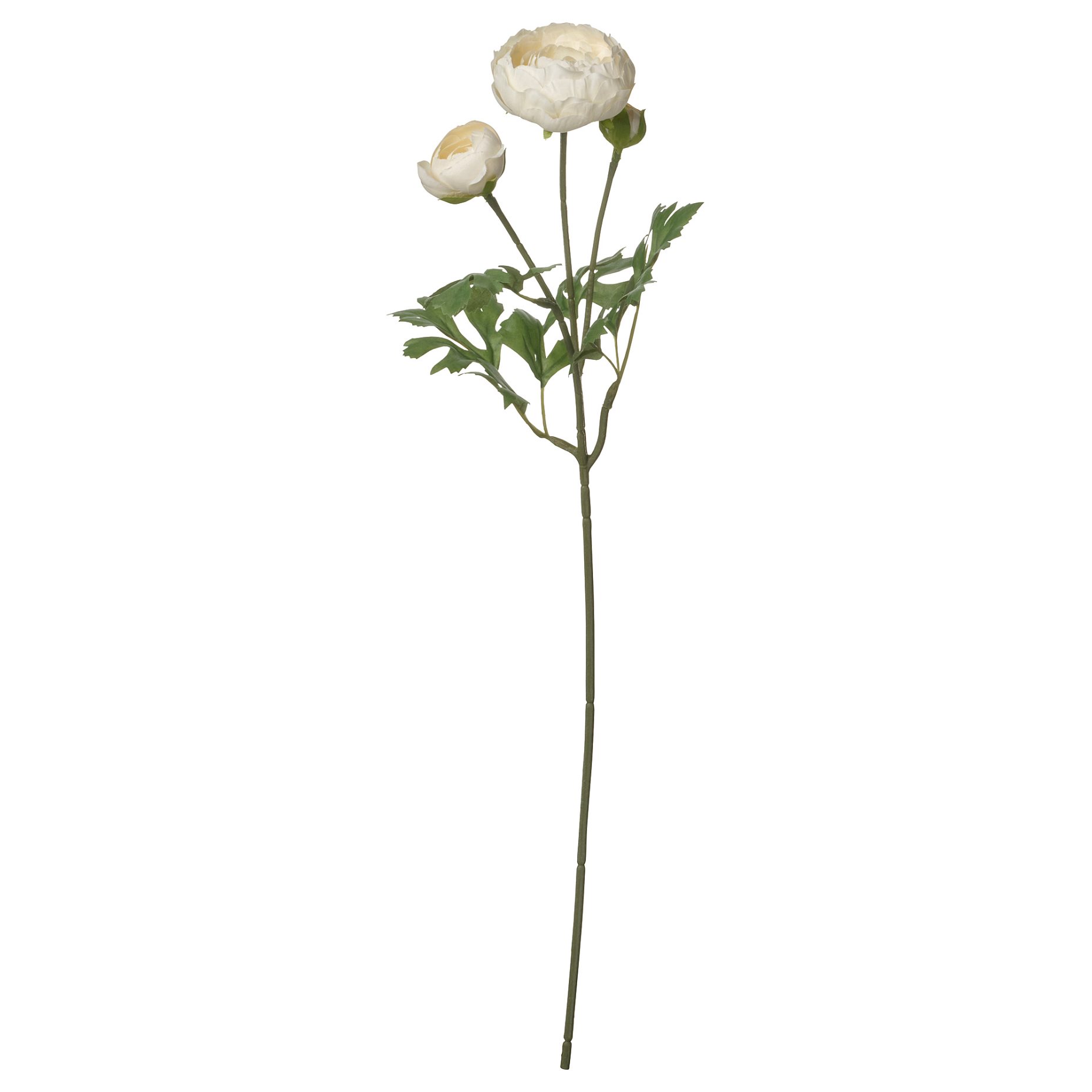 SMYCKA, artificial flower in/outdoor/Ranunculus, 52 cm, 006.080.03