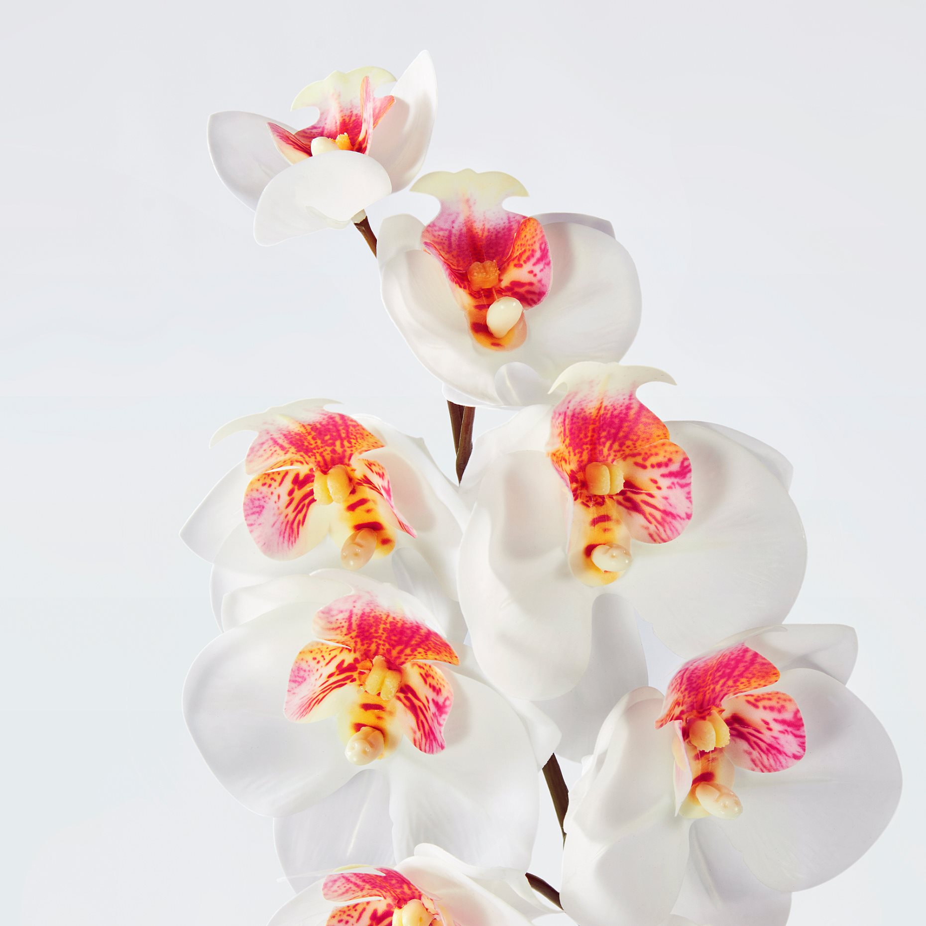 SMYCKA, artificial flower/in/outdoor/Orchid, 60 cm, 105.871.56