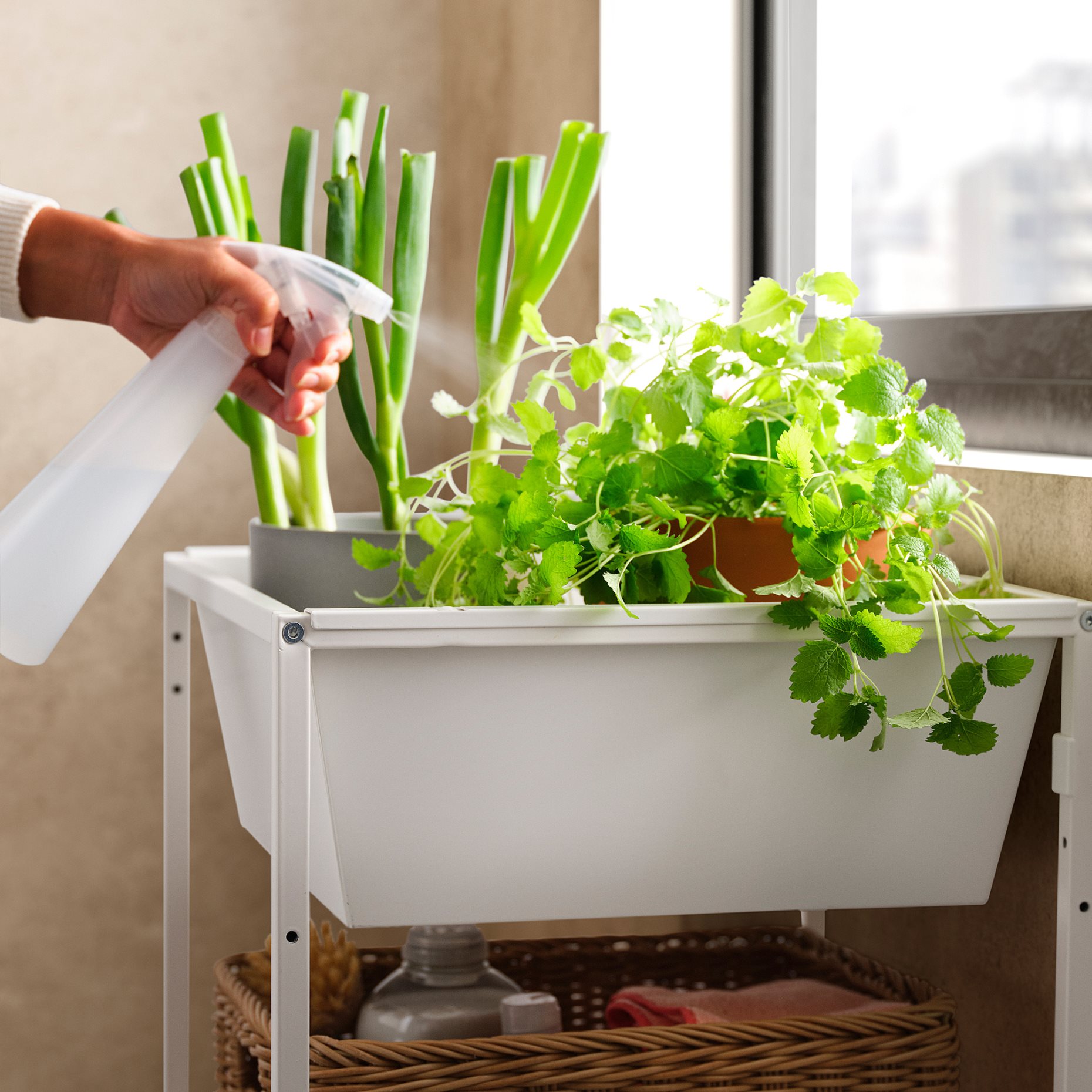 JOSTEIN, ραφιέρα με δοχείο/εσωτερικού/εξωτερικού χώρου/σύρμα, 41x40x90 cm, 194.371.72