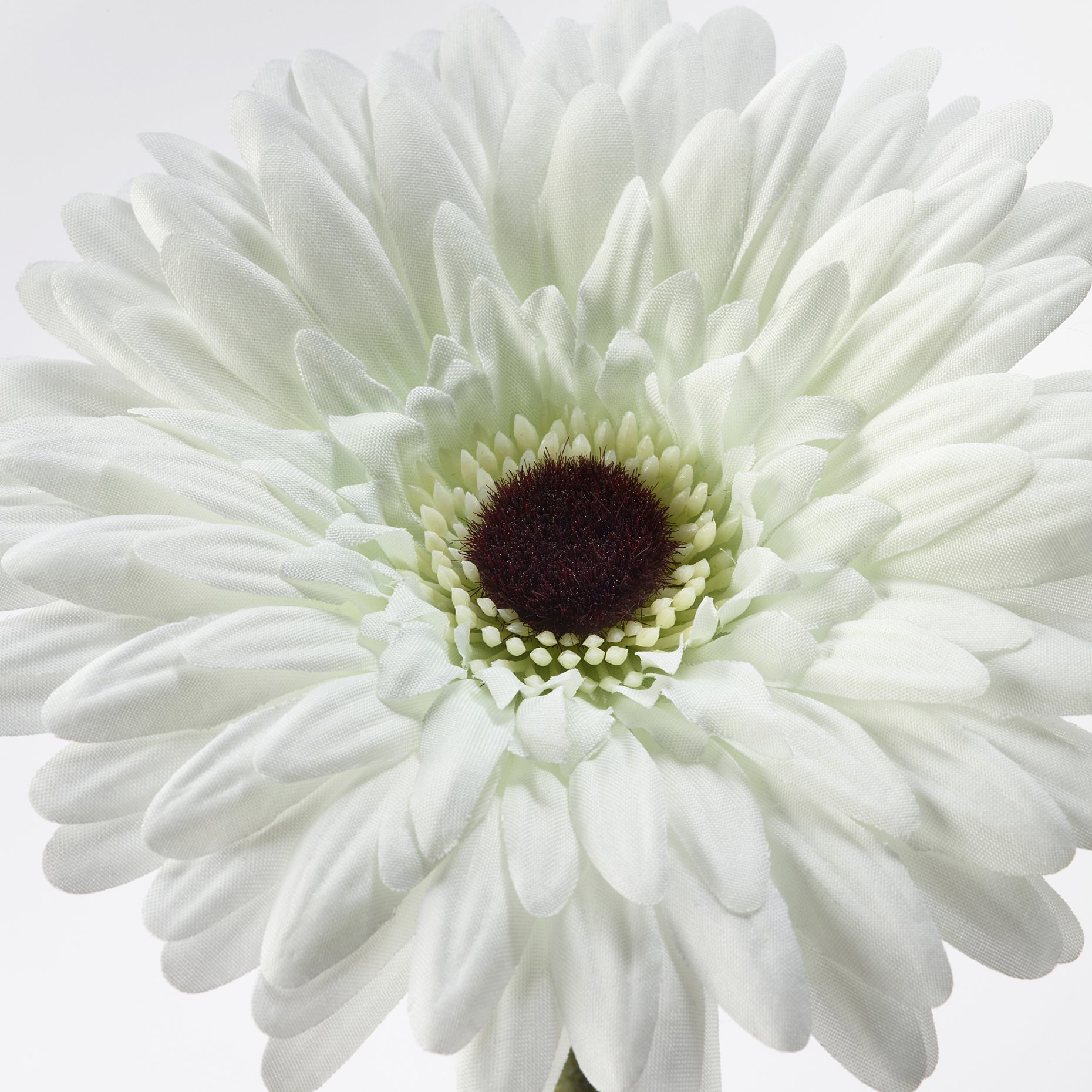 SMYCKA, artificial flower, Gerbera, 204.097.95