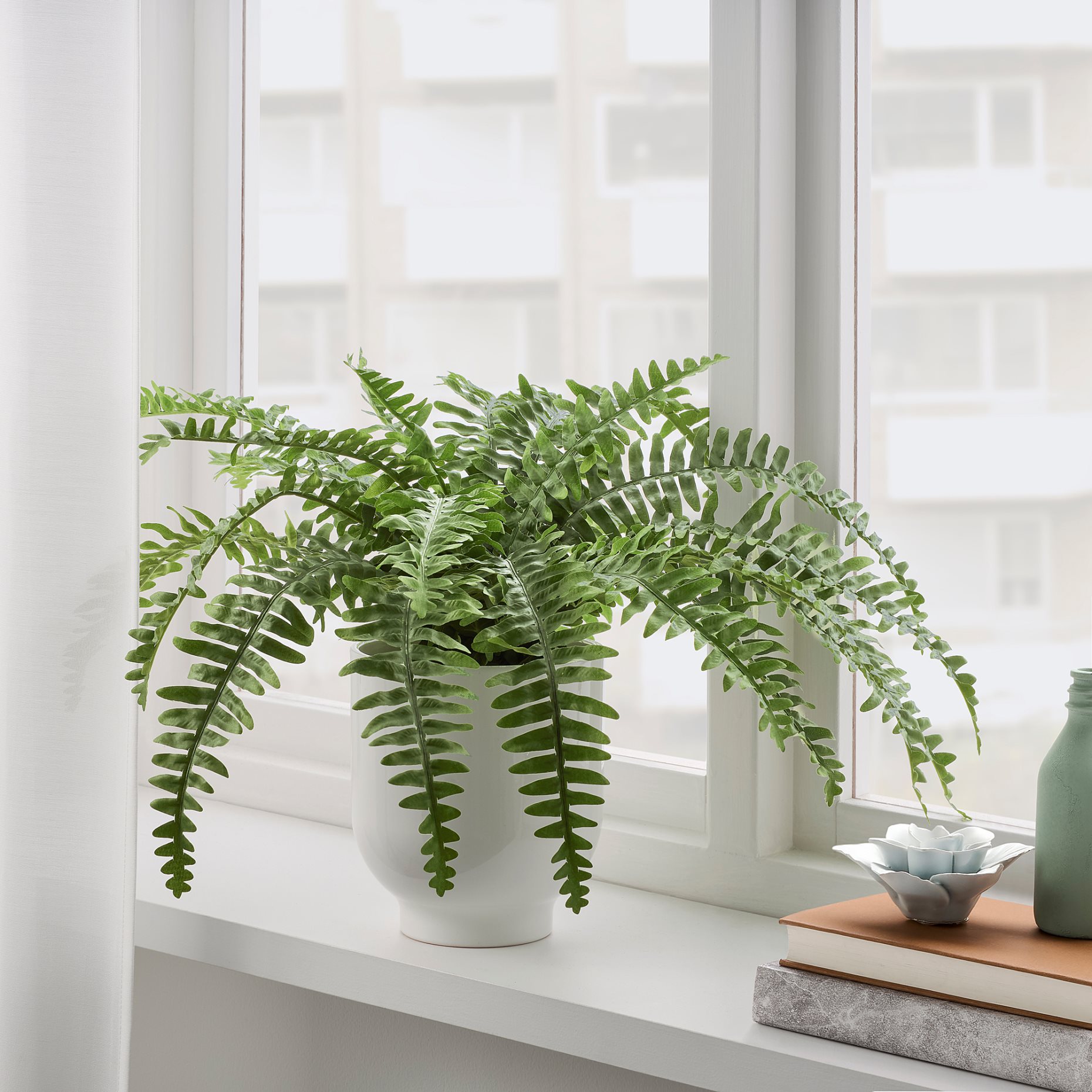 FEJKA, artificial potted plant in/outdoor fern, 15 cm, 204.684.50