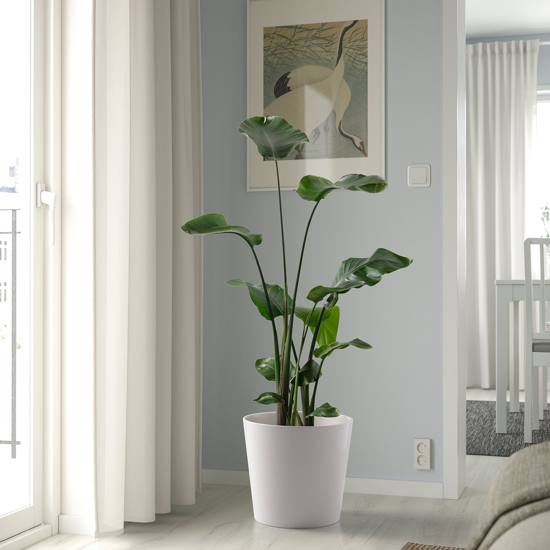SOJABÖNA, plant pot, 32 cm, 205.335.92