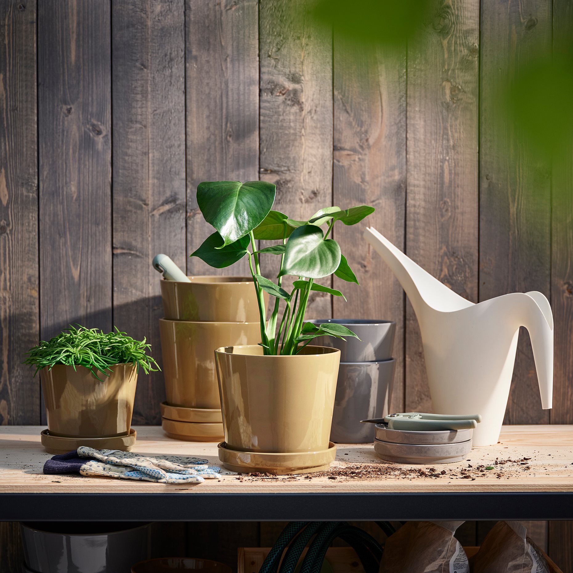 CITRUSFRUKT, plant pot with saucer in/outdoor, 15 cm, 205.515.76