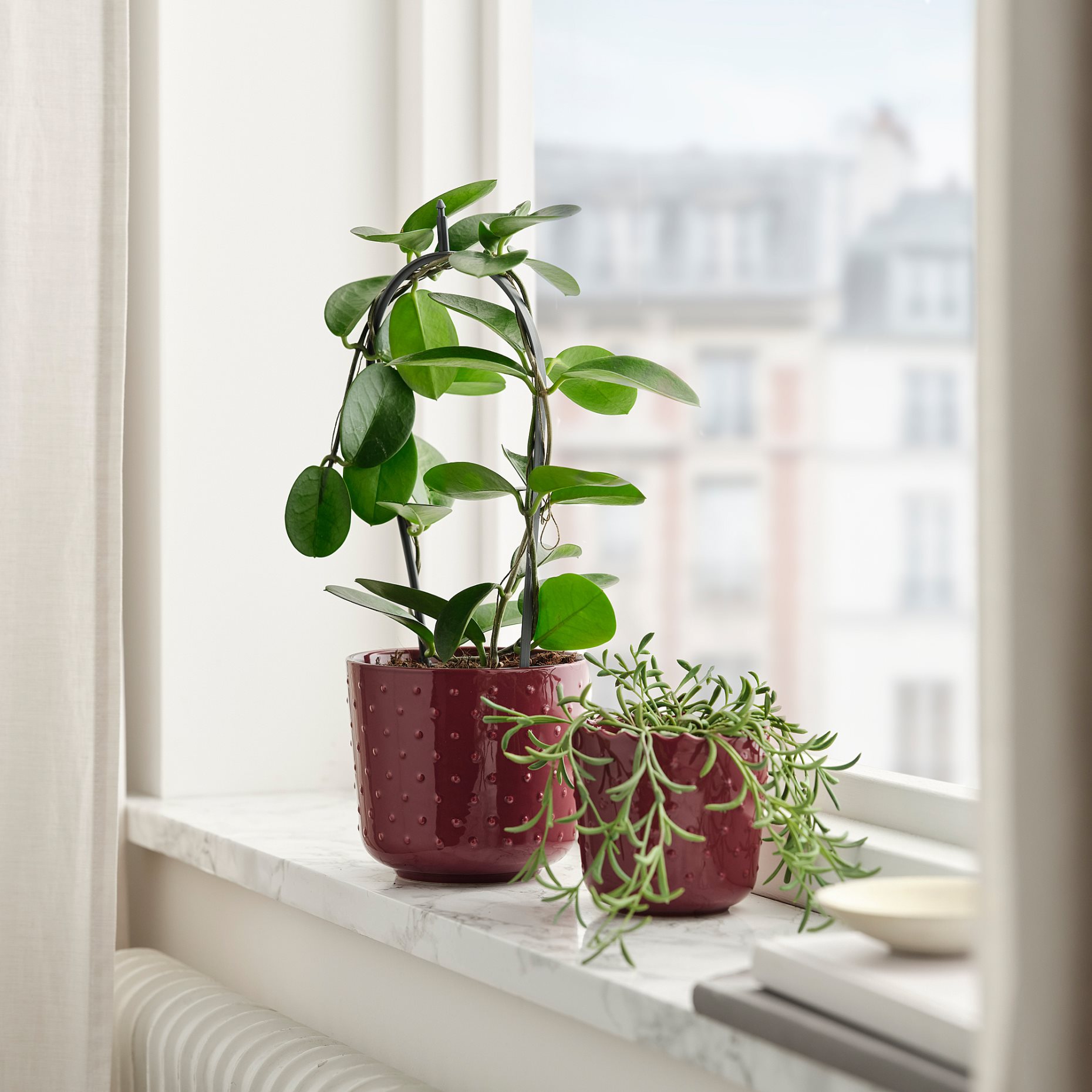 SESAMFRÖN, plant pot in/outdoor, 12 cm, 205.693.45
