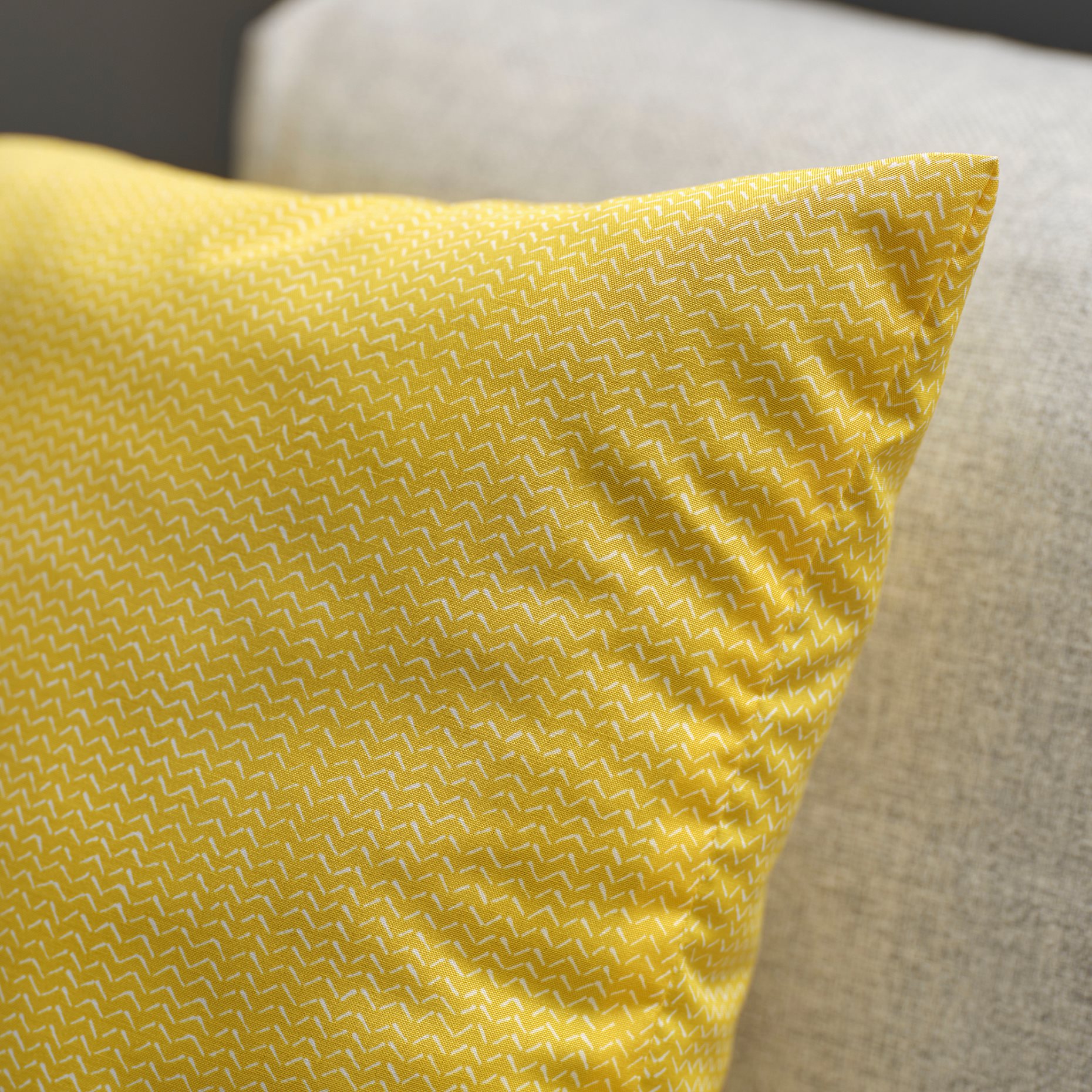 PROFETBLOMMA, cushion, 50x50 cm, 206.142.01
