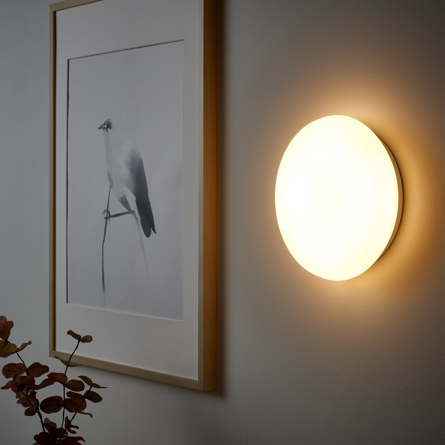 STOFTMOLN, ceiling/wall lamp with built-in LED light source/wireless dimmable/warm white, 24 cm, 304.974.90