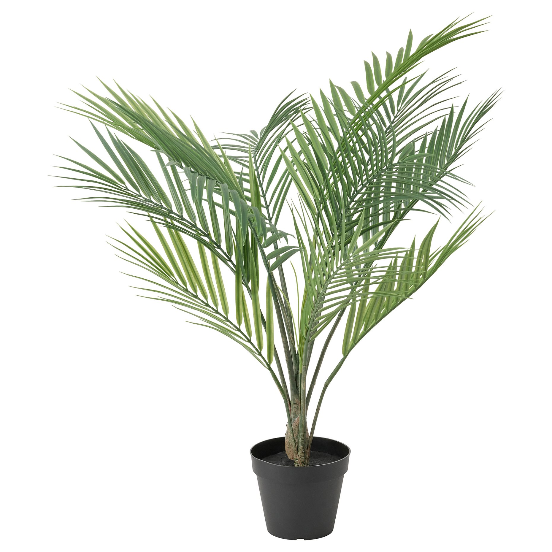 FEJKA, τεχνητό φυτό σε γλάστρα εσωτ./εξωτ. χώρου/ Αρέκα, 12 cm, 305.084.03